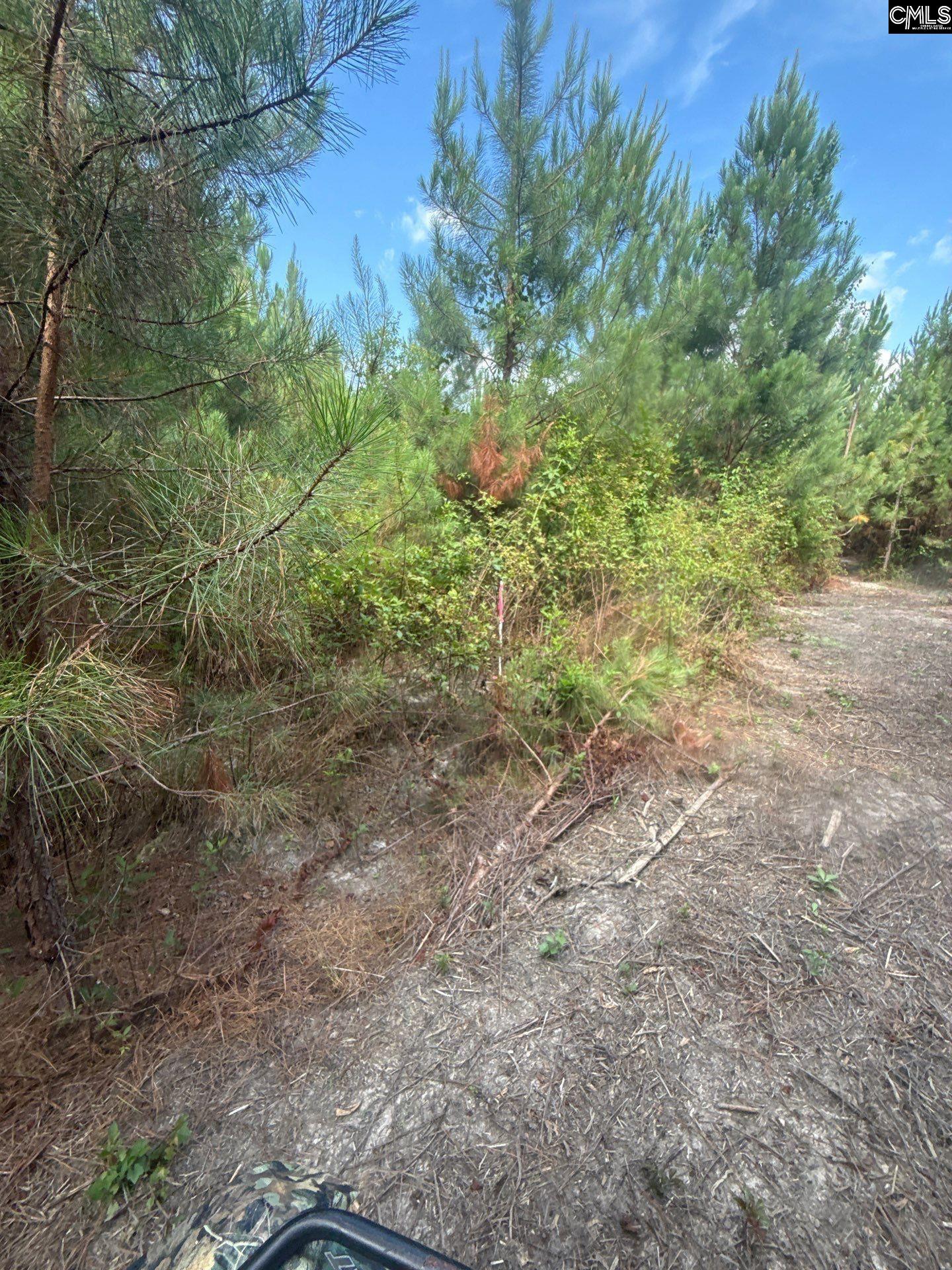 MPF 2 State Rd S-28-31 Road UNIT MPF 2 Jefferson, SC 29718