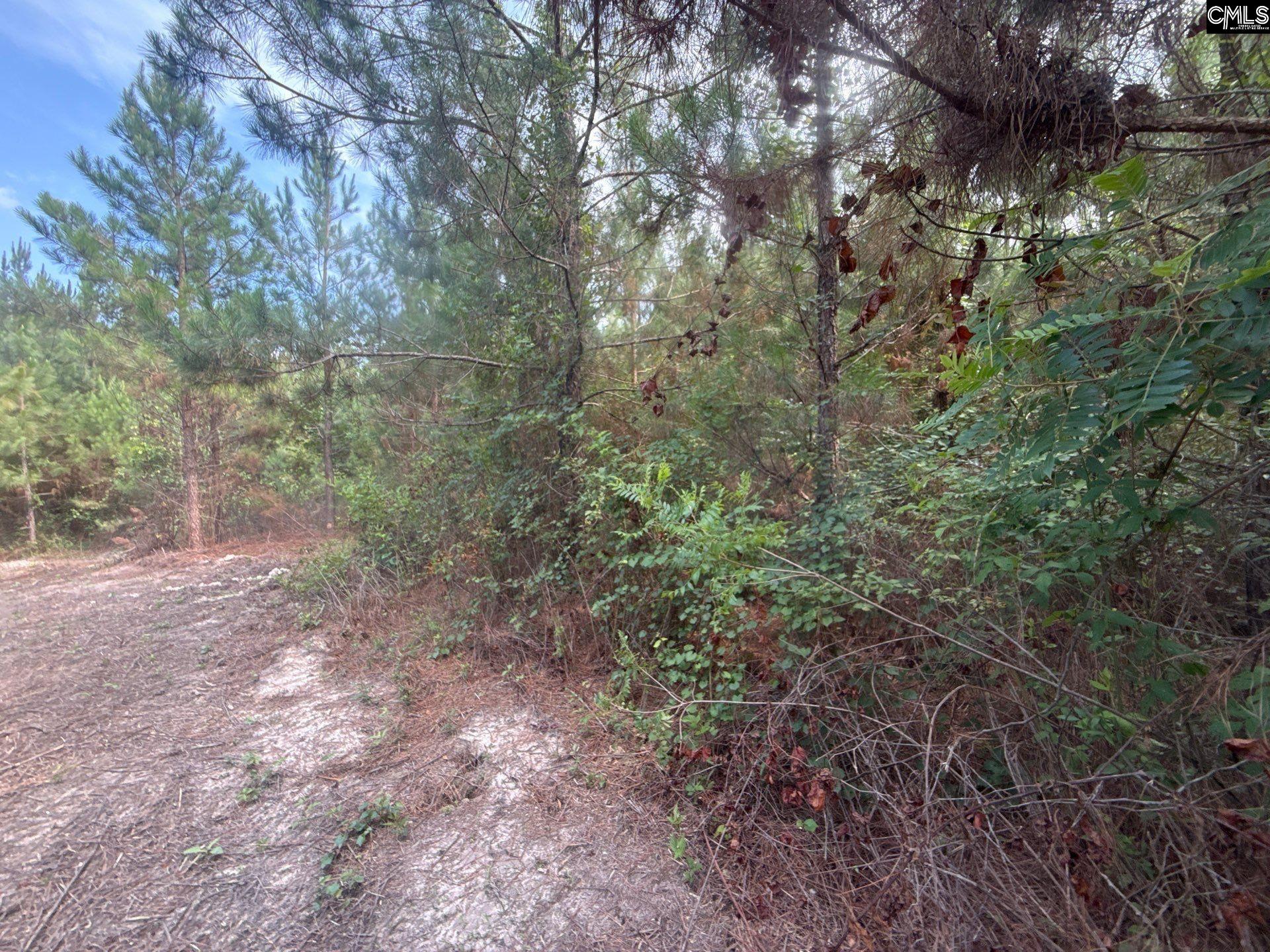 MPF 2 State Rd S-28-31 Road UNIT MPF 2 Jefferson, SC 29718