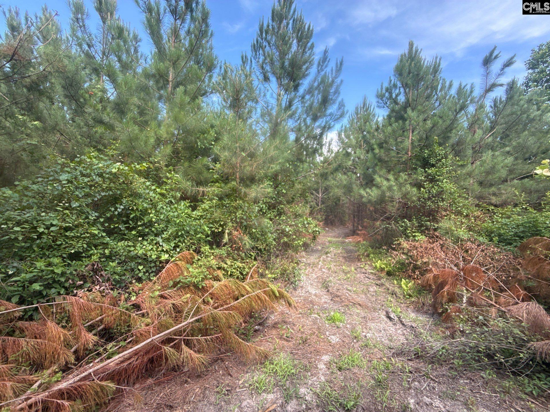 MPF 2 State Rd S-28-31 Road UNIT MPF 2 Jefferson, SC 29718