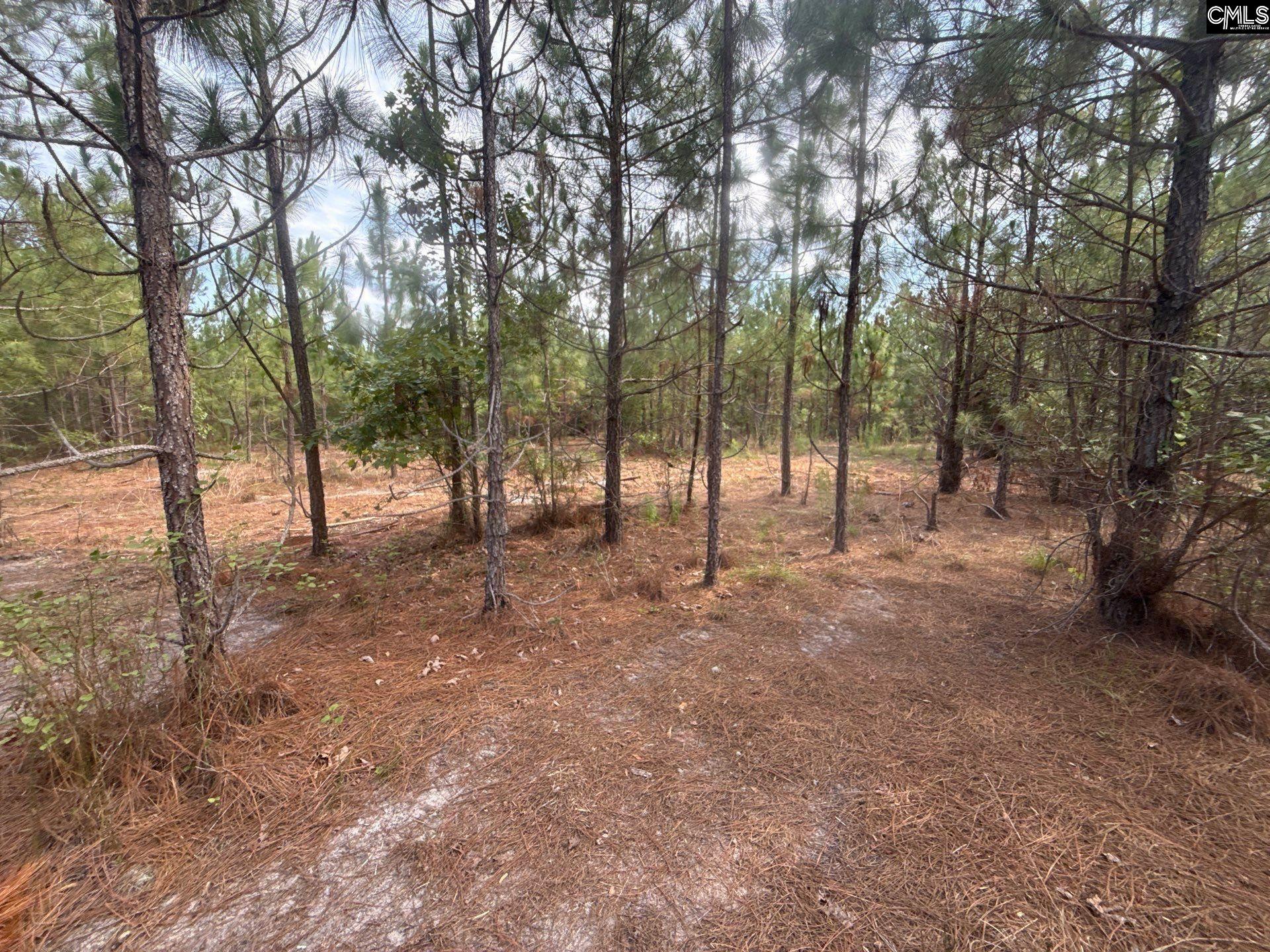 MPF 2 State Rd S-28-31 Road UNIT MPF 2 Jefferson, SC 29718