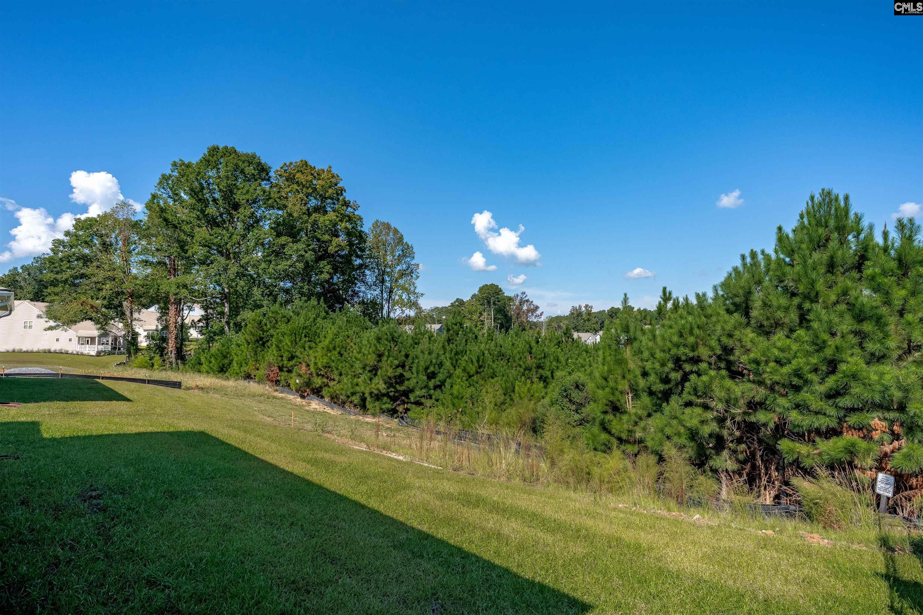 554 Carters Grove Lane, Blythewood — photo 61