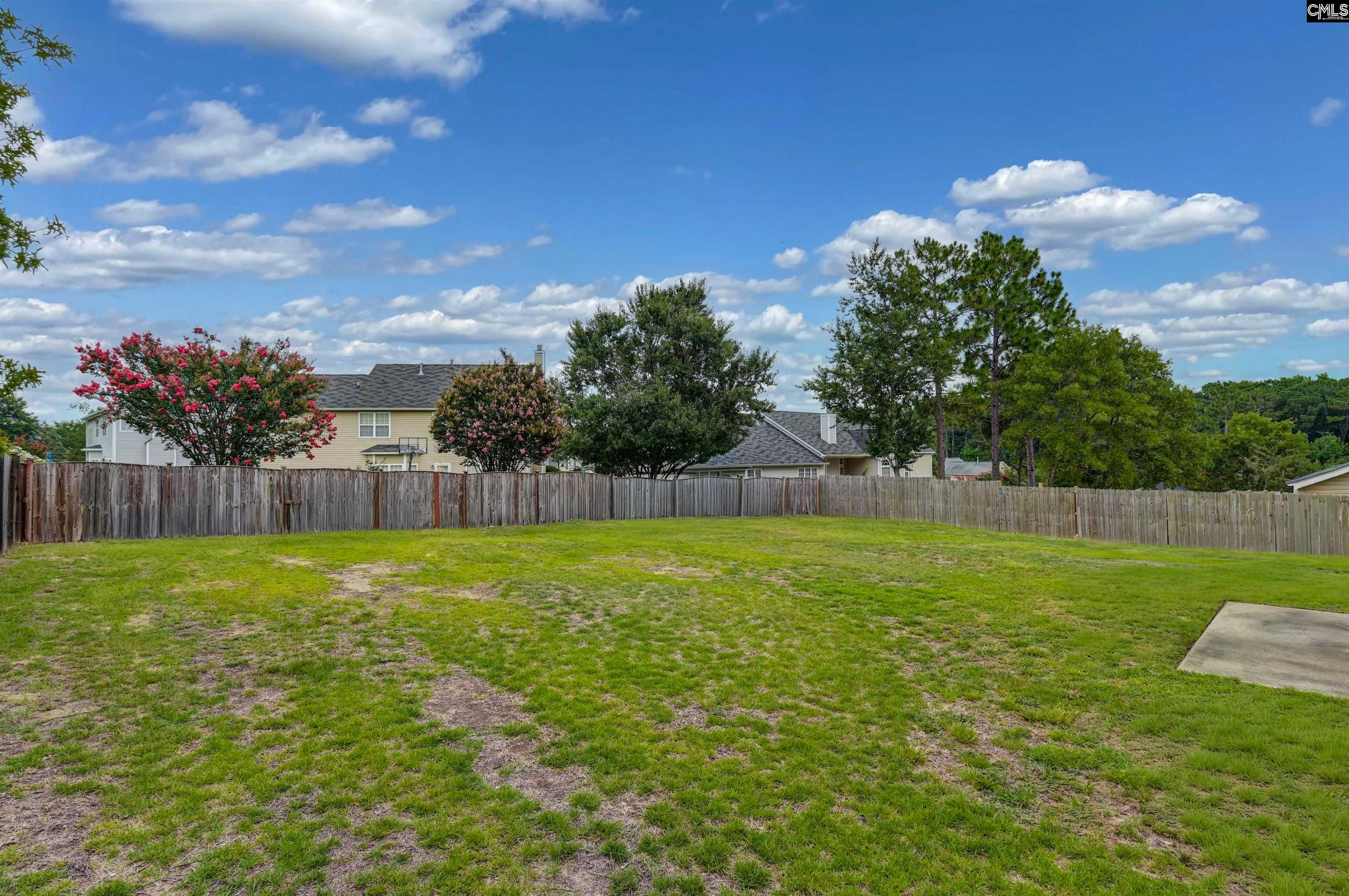 238 Longtown Place Drive Columbia, SC 29229