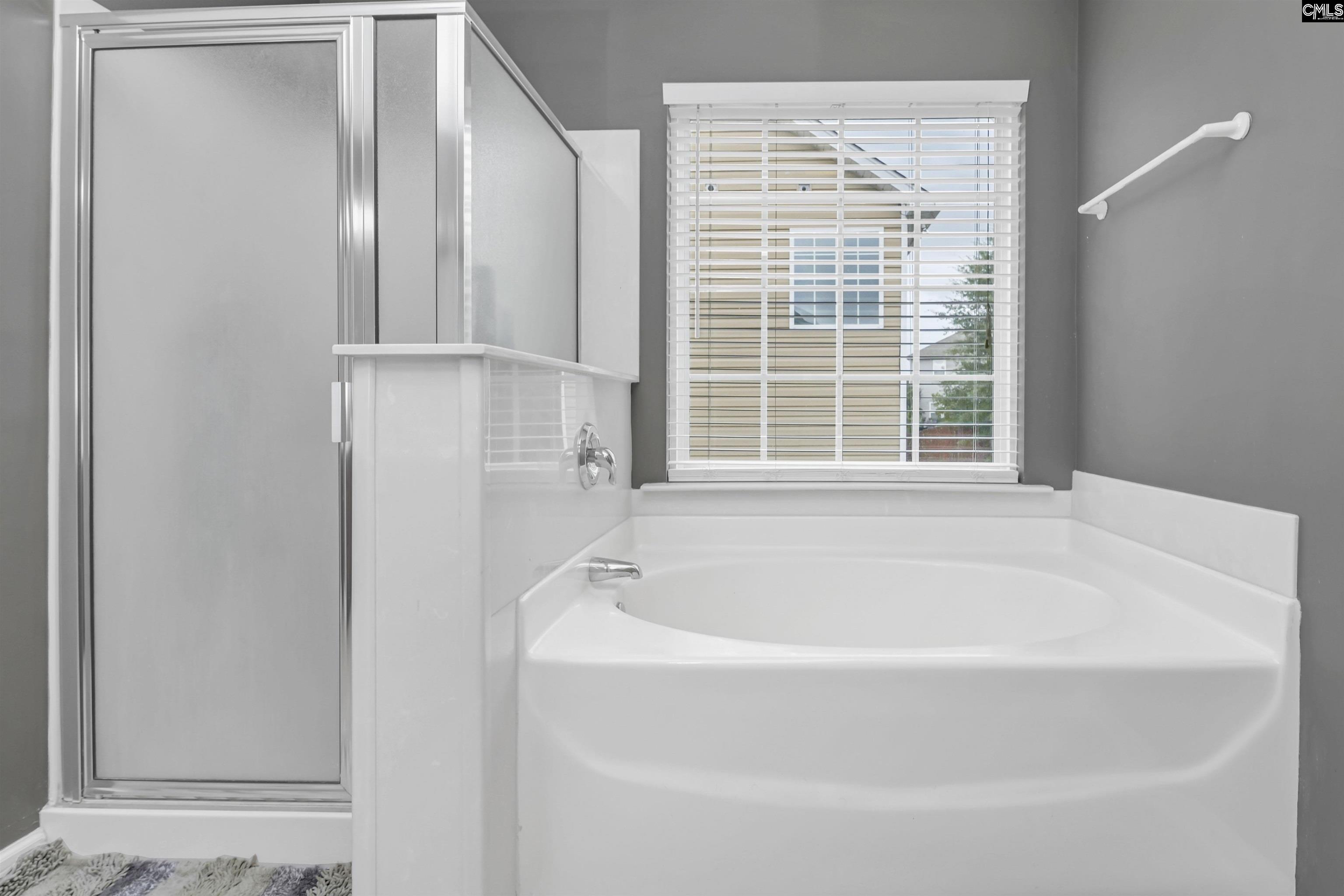 238 Longtown Place Drive Columbia, SC 29229