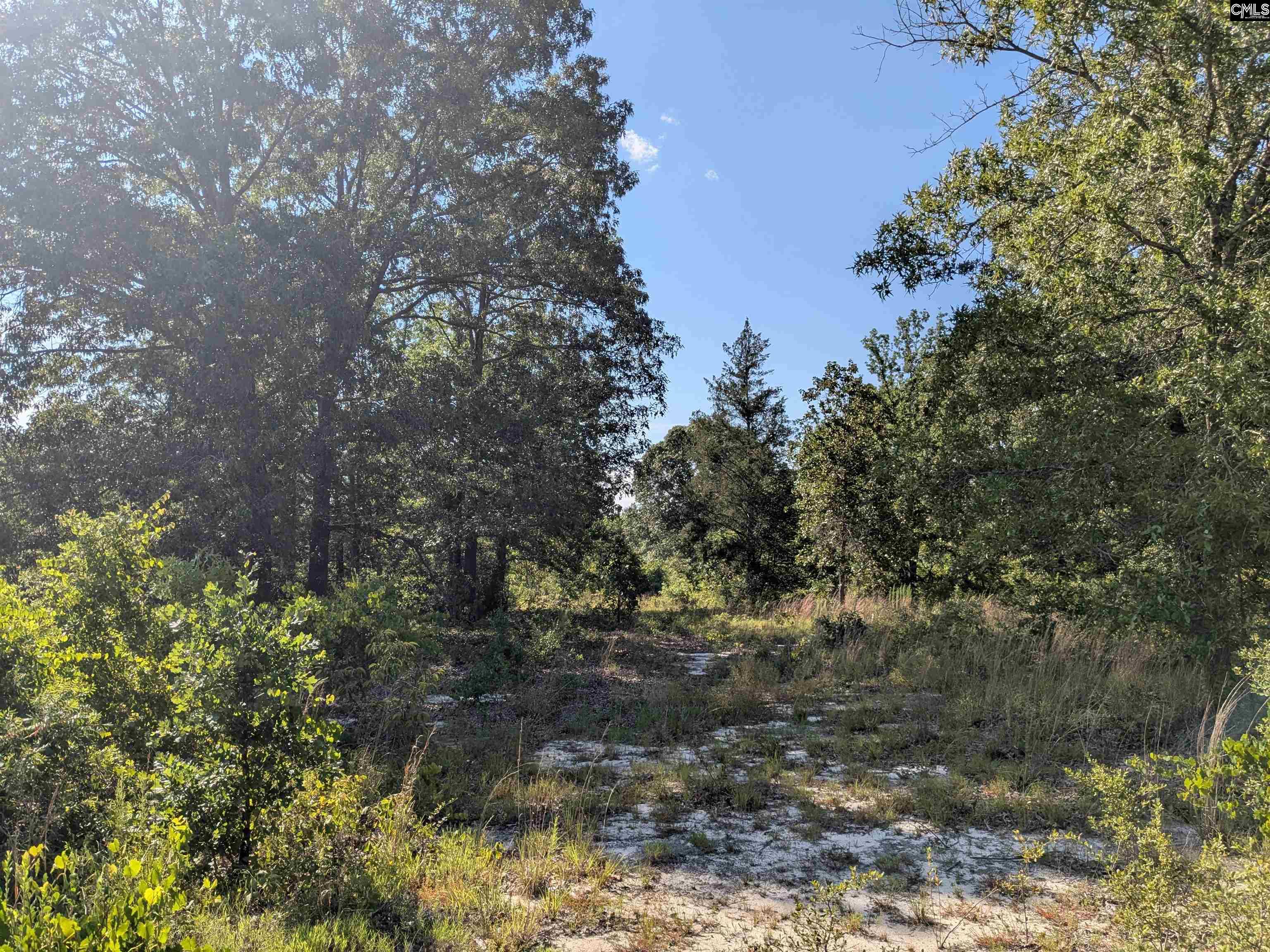 Hound Hollow Road Camden, SC 29020