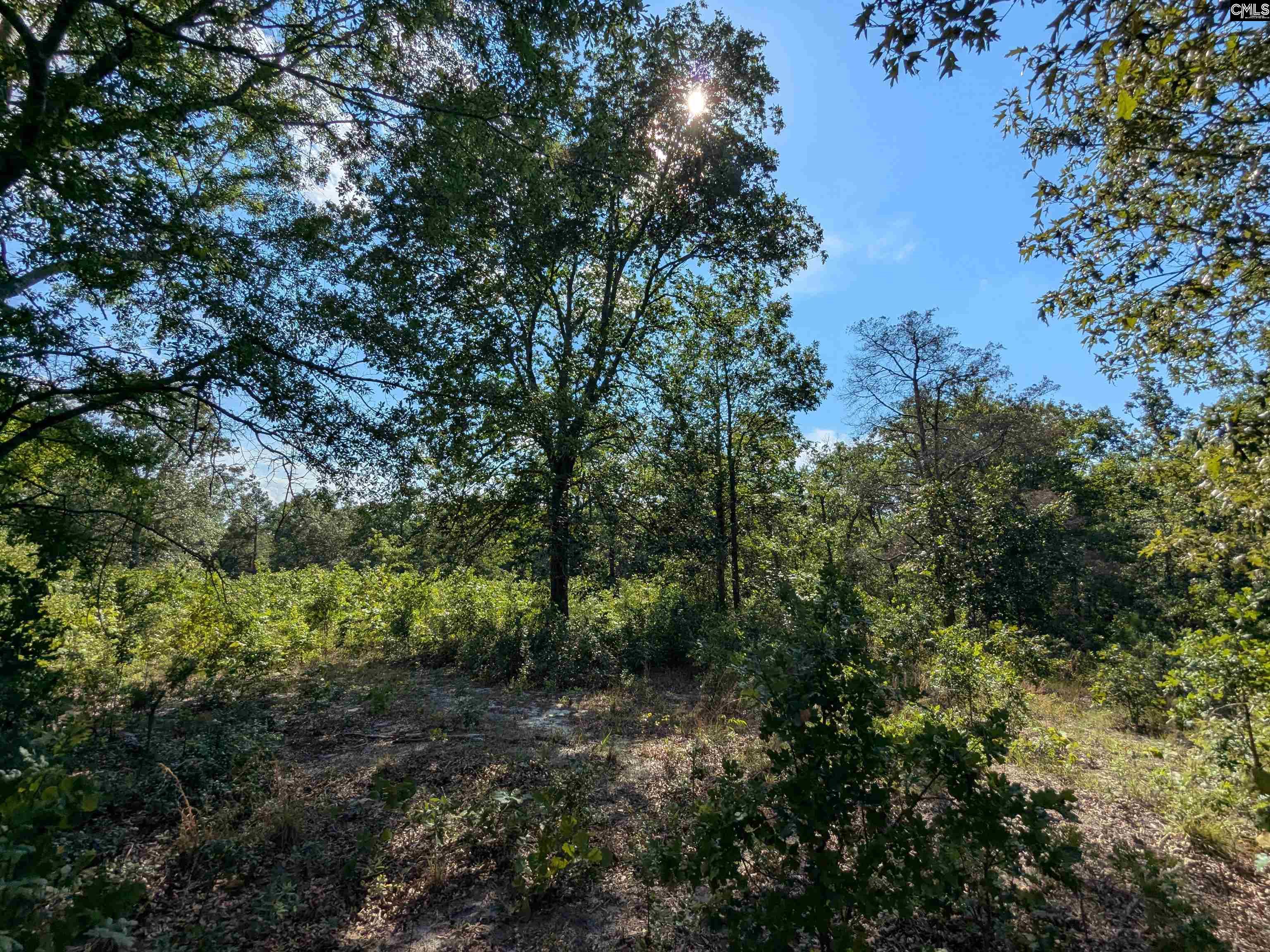 Hound Hollow Road Camden, SC 29020