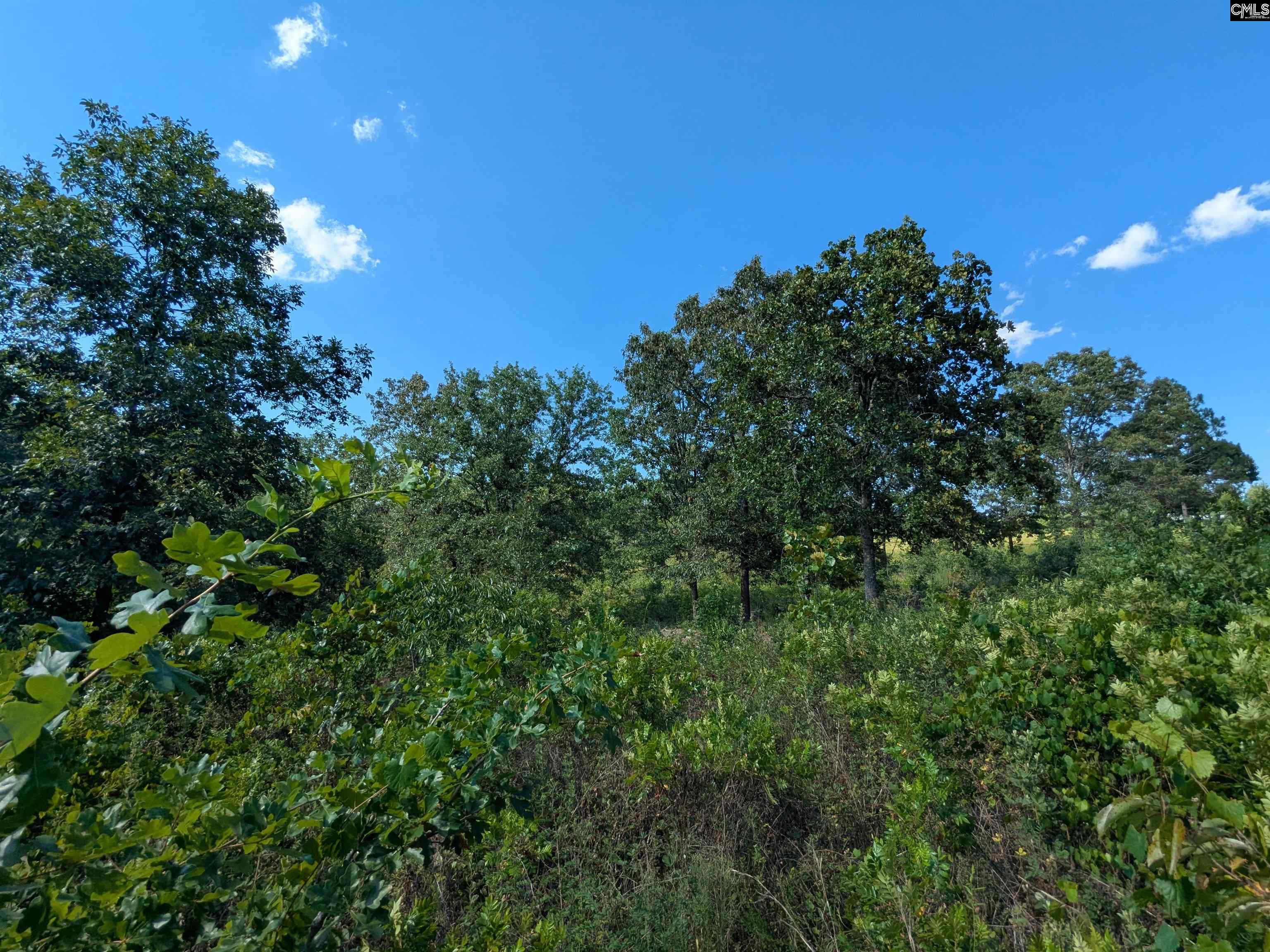 Hound Hollow Road Camden, SC 29020