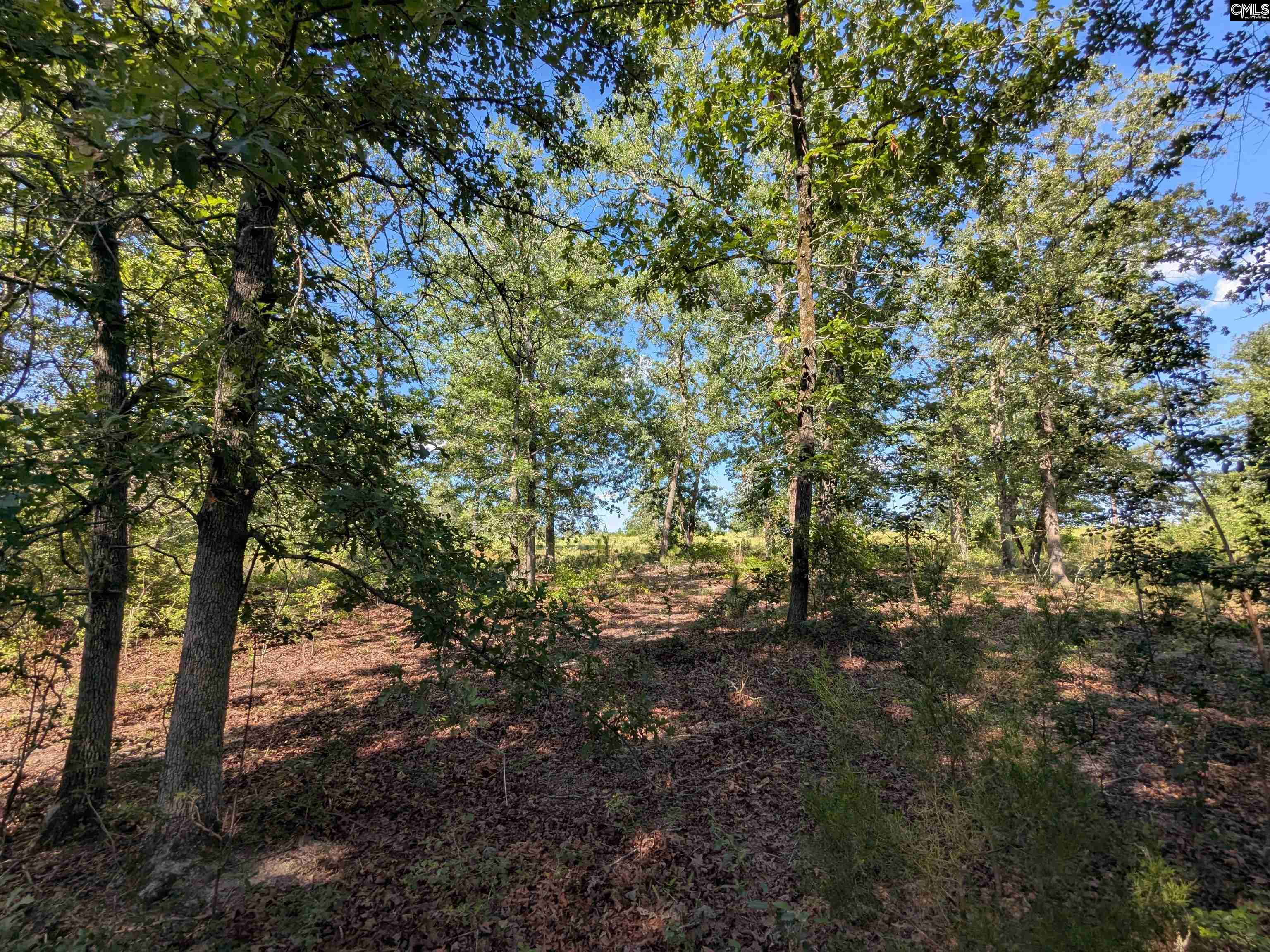 Hound Hollow Road Camden, SC 29020