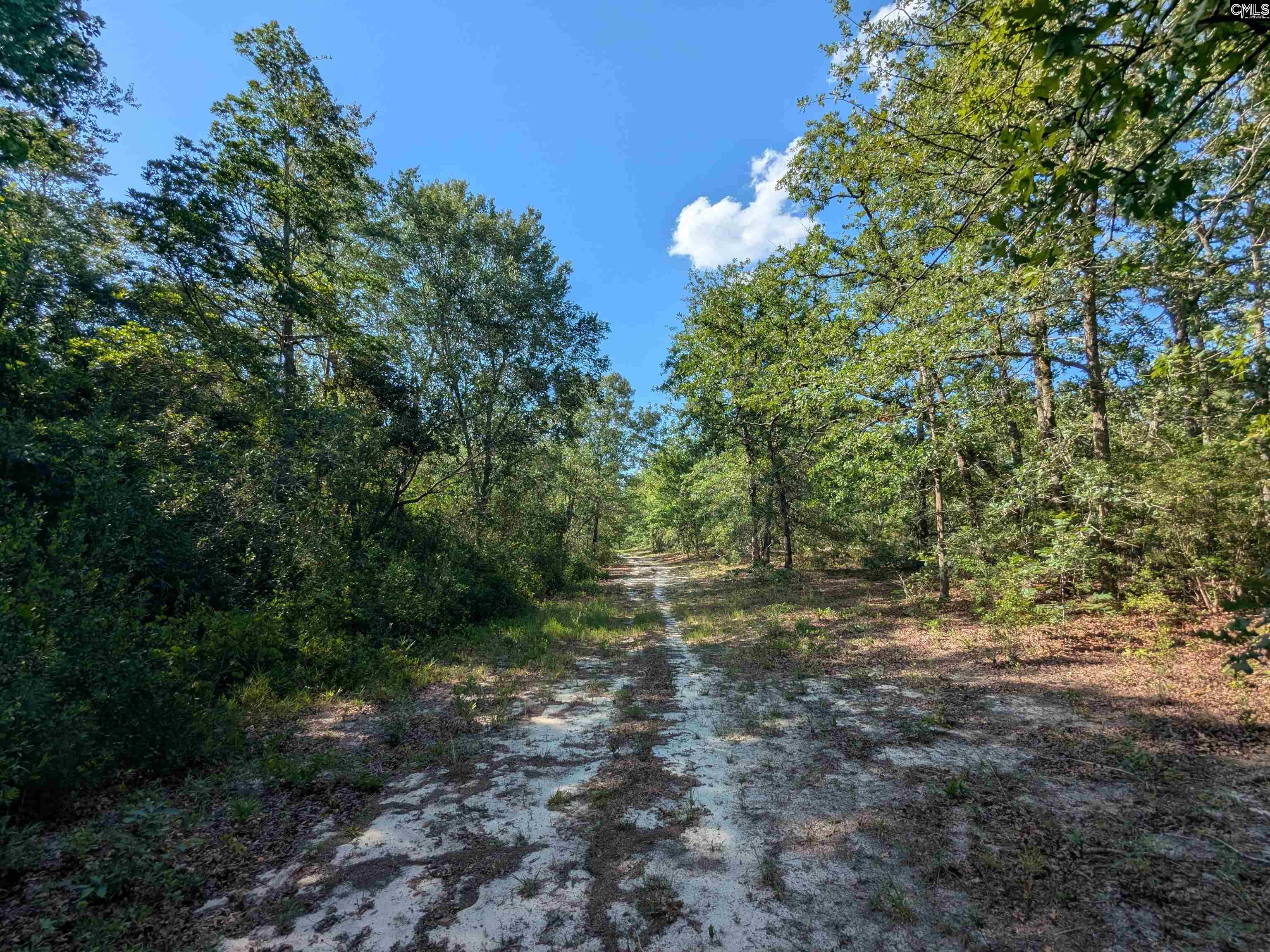 Hound Hollow Road Camden, SC 29020