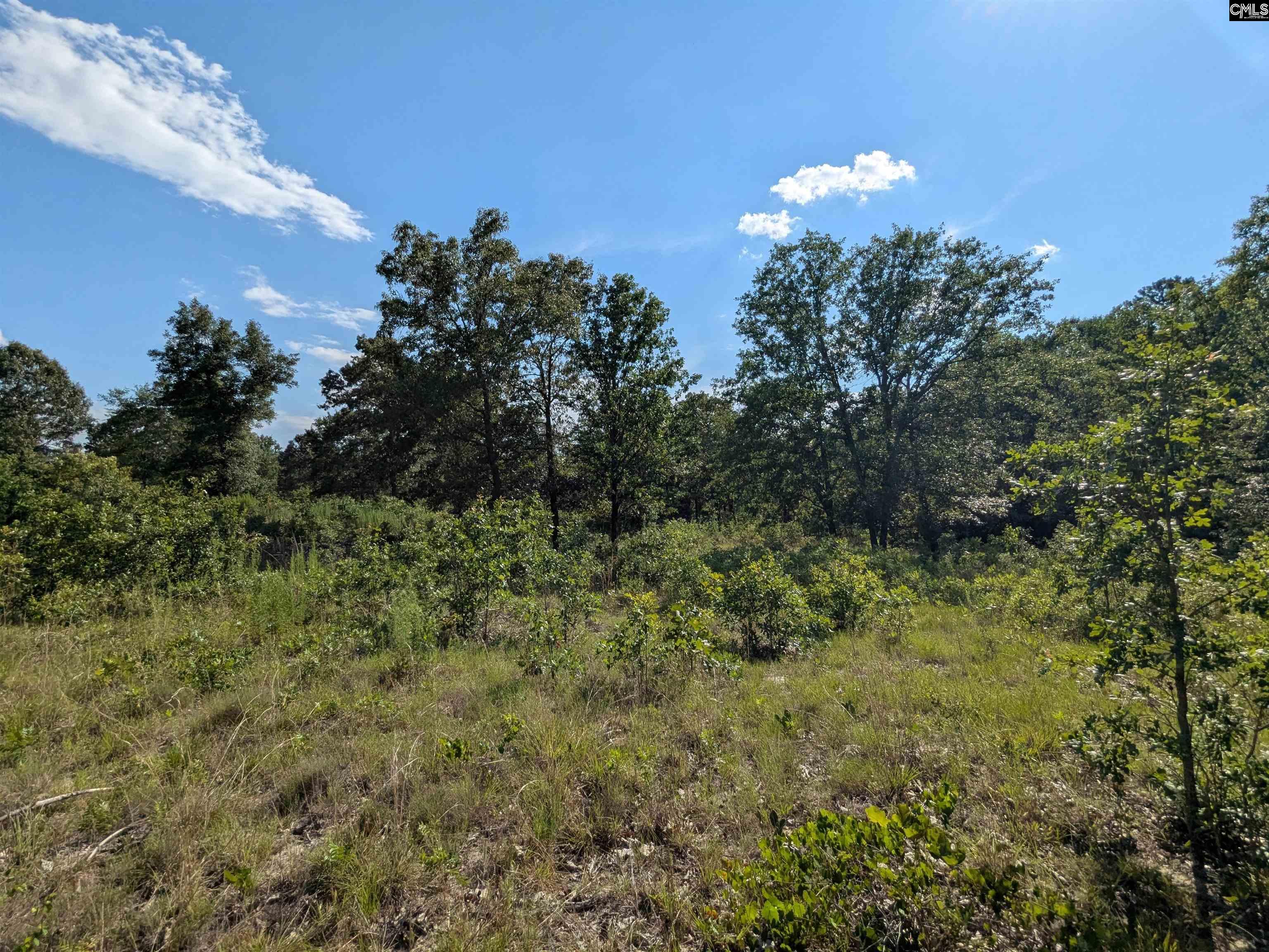 Hound Hollow Road Camden, SC 29020