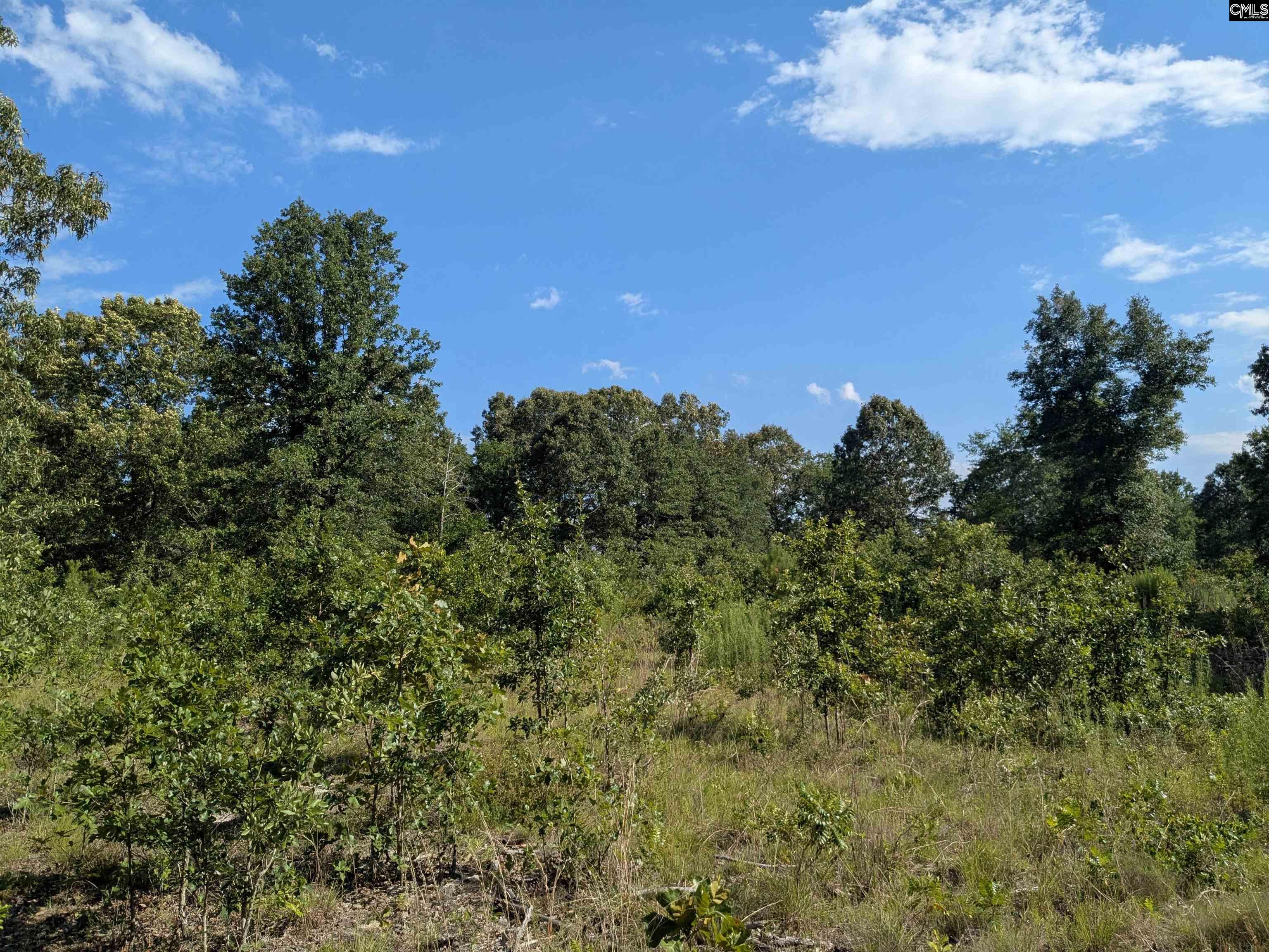 Hound Hollow Road Camden, SC 29020