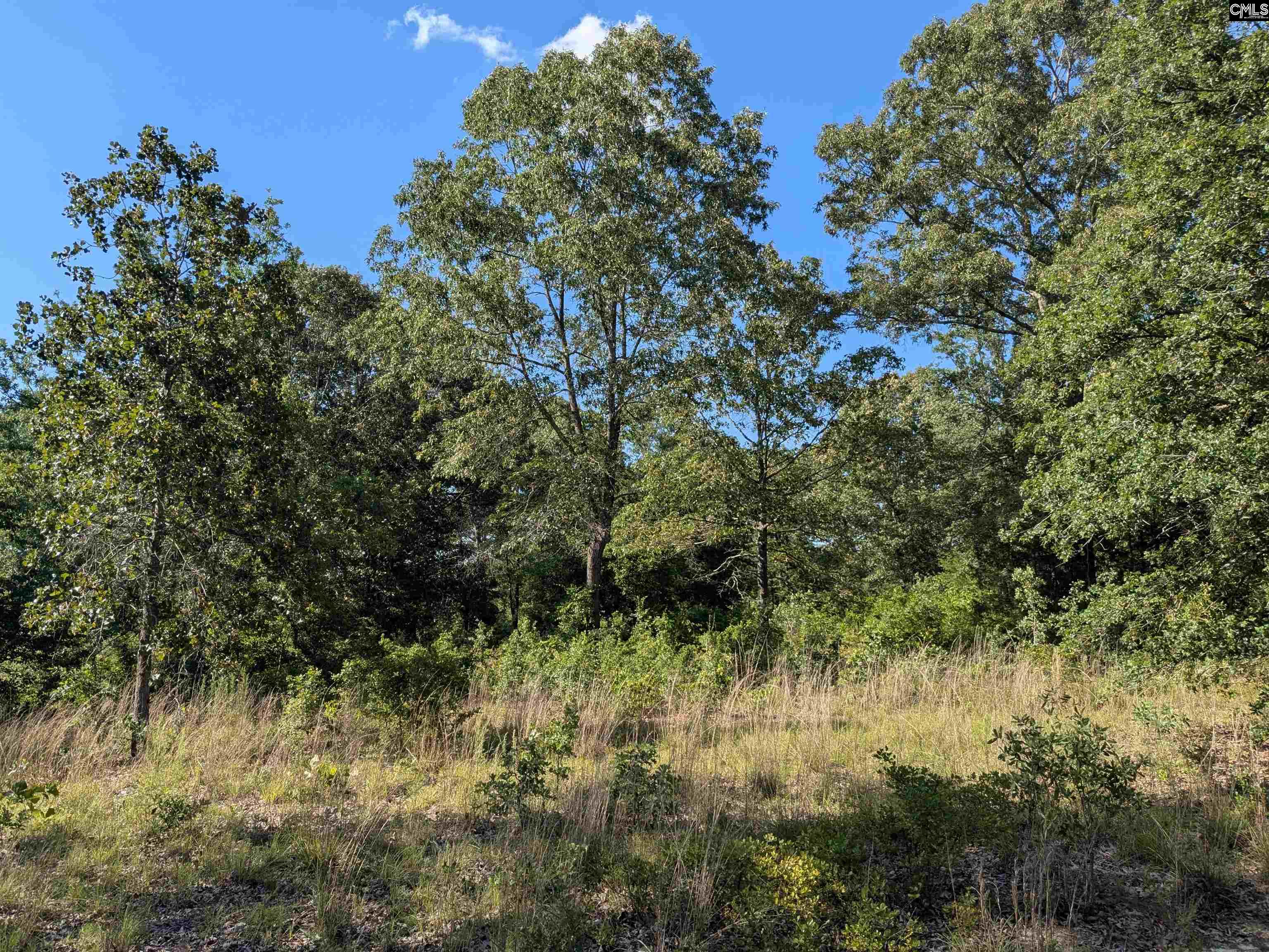 Hound Hollow Road Camden, SC 29020