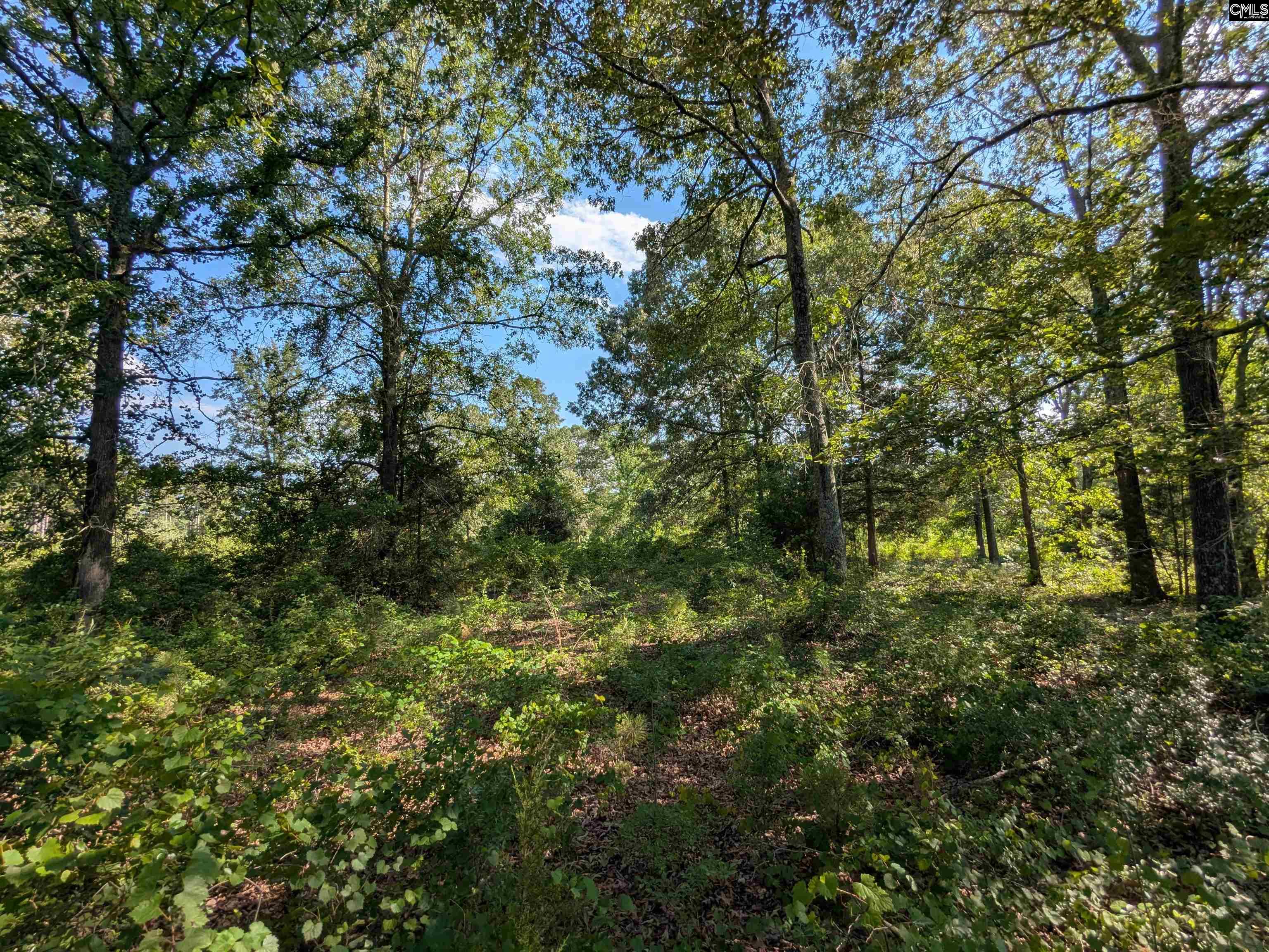 Hound Hollow Road Camden, SC 29020