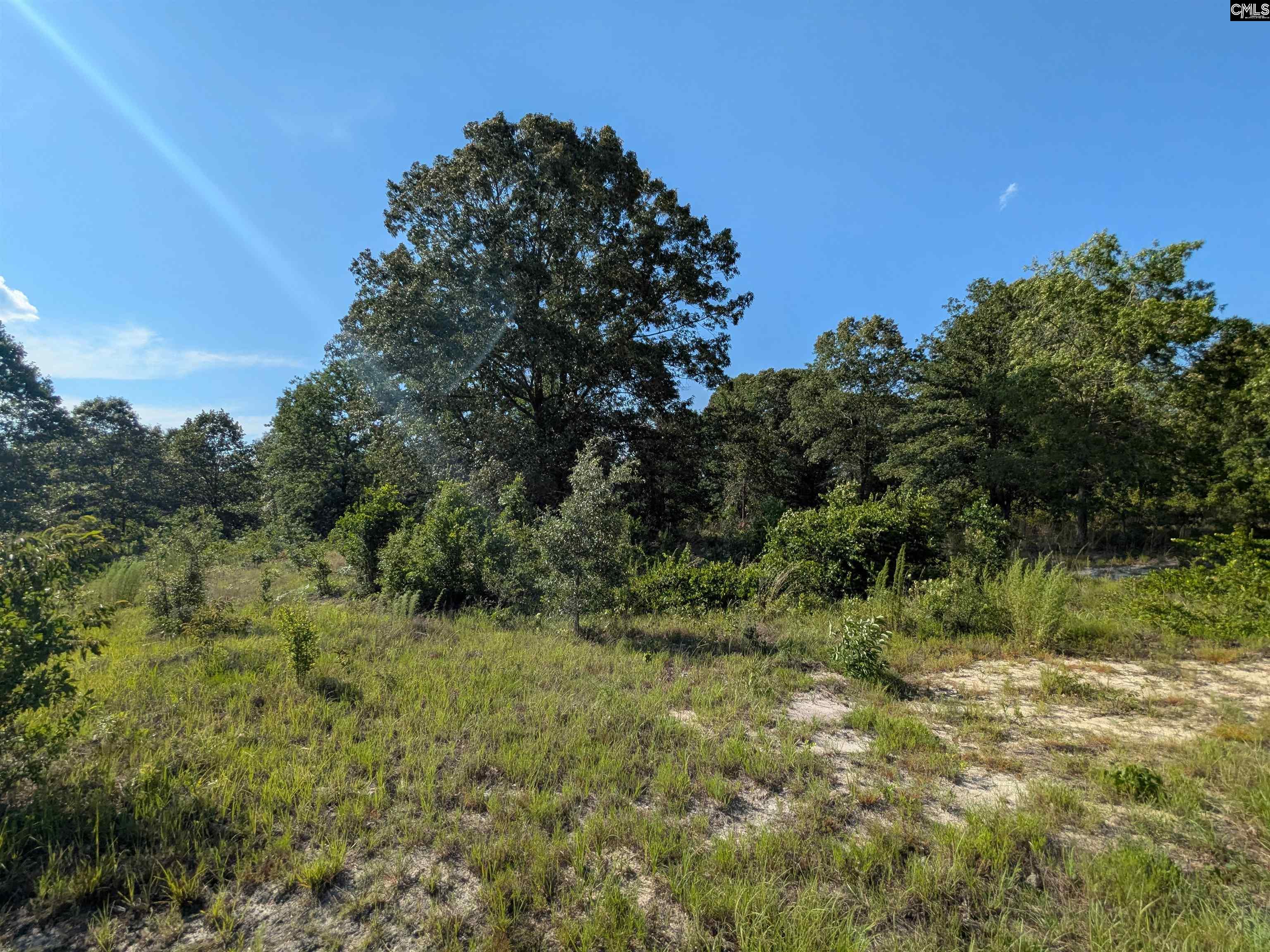 Hound Hollow Road Camden, SC 29020