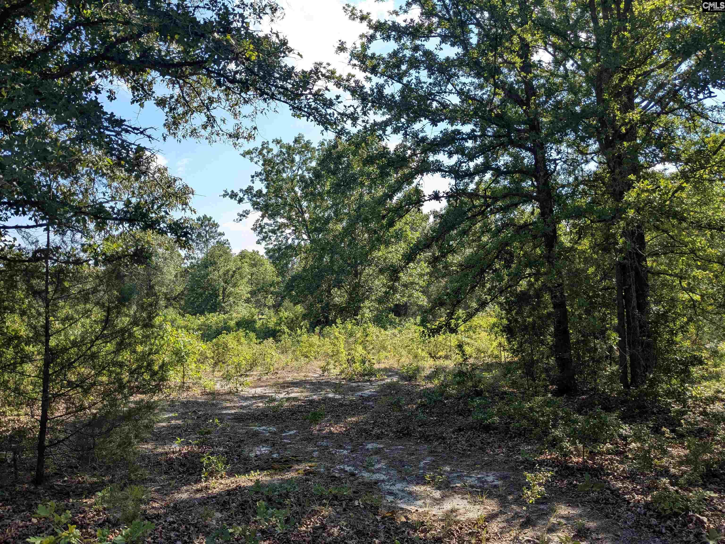 Hound Hollow Road Camden, SC 29020