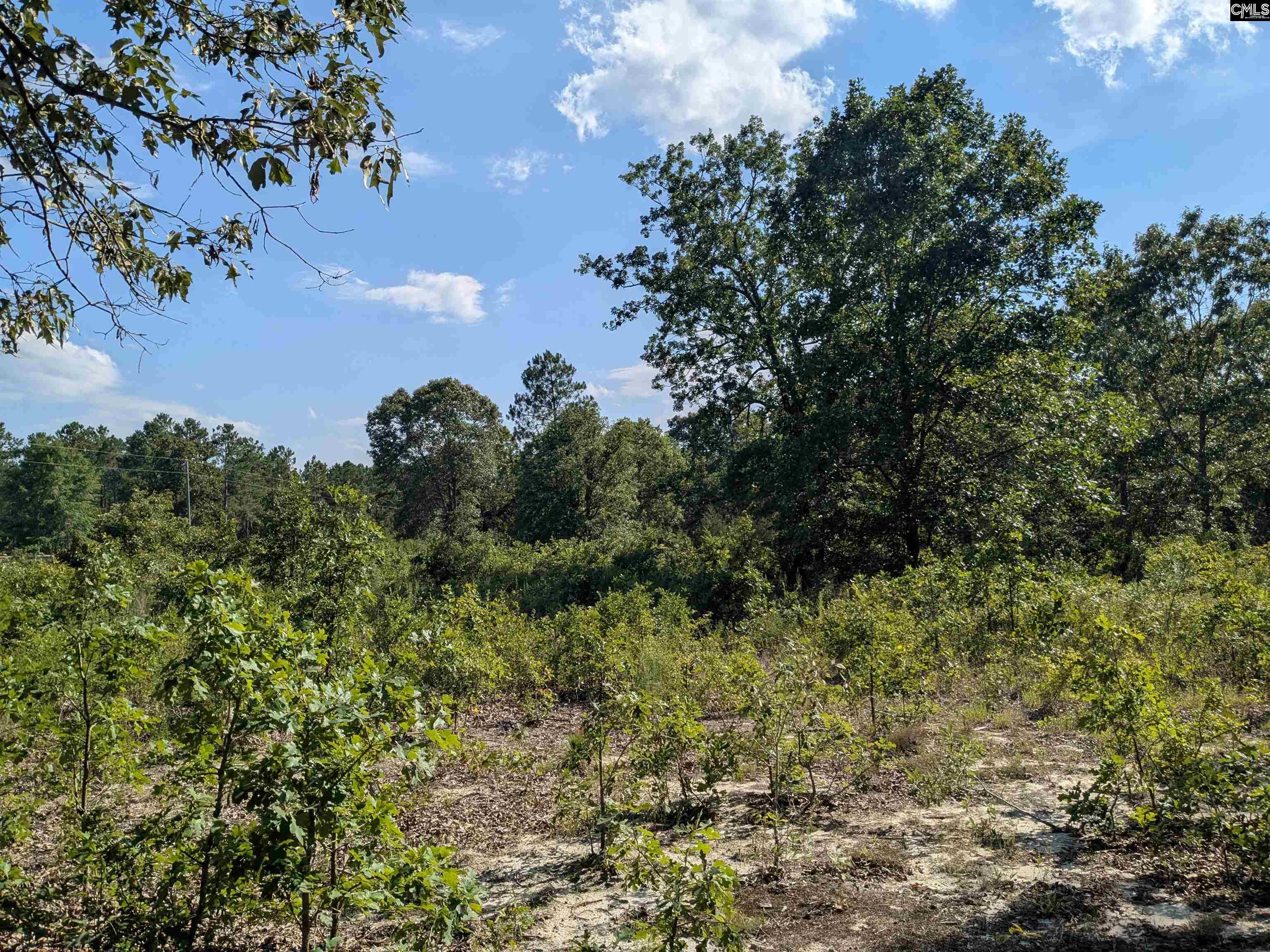 Hound Hollow Road Camden, SC 29020