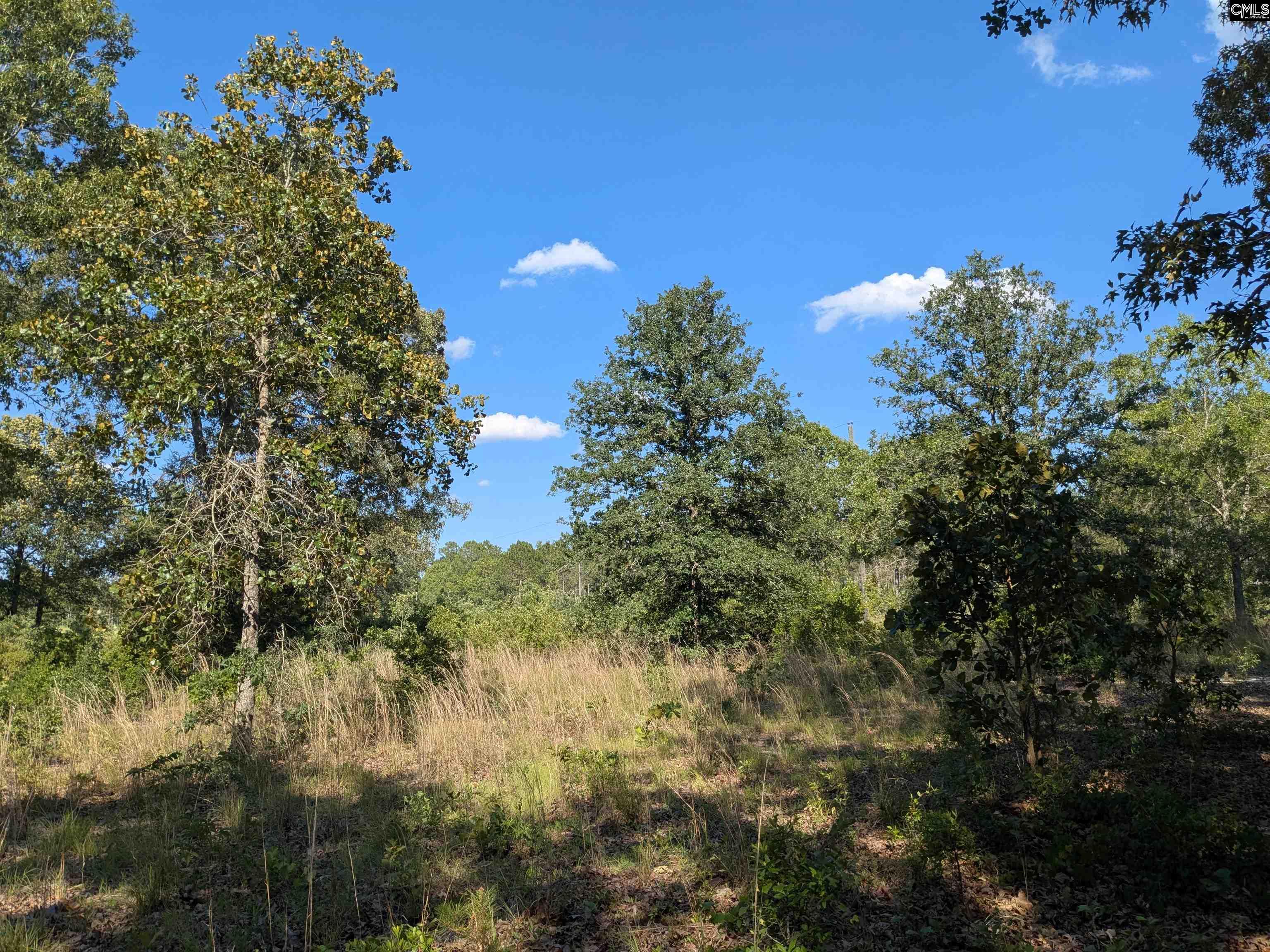 Hound Hollow Road Camden, SC 29020