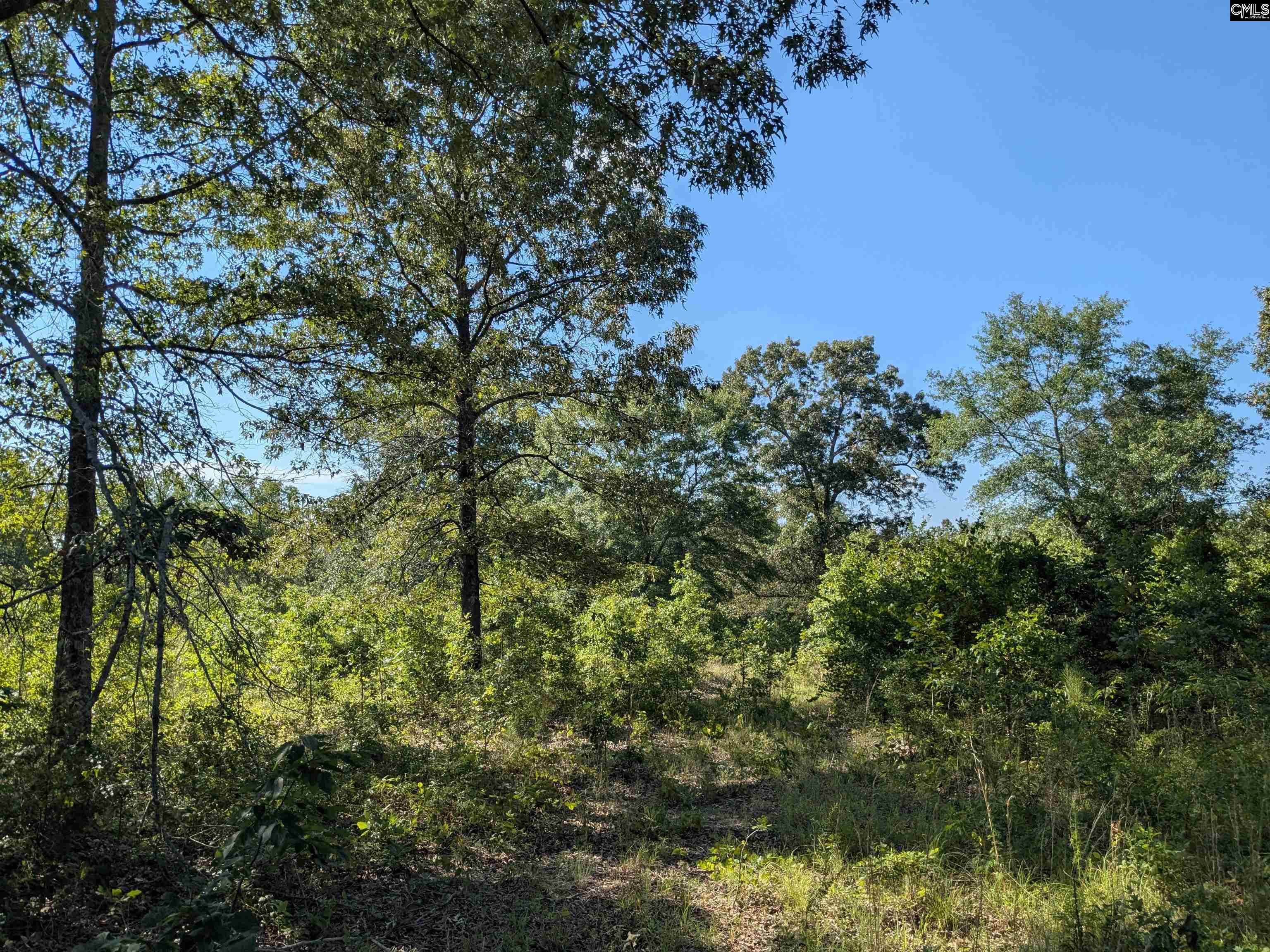 Hound Hollow Road Camden, SC 29020