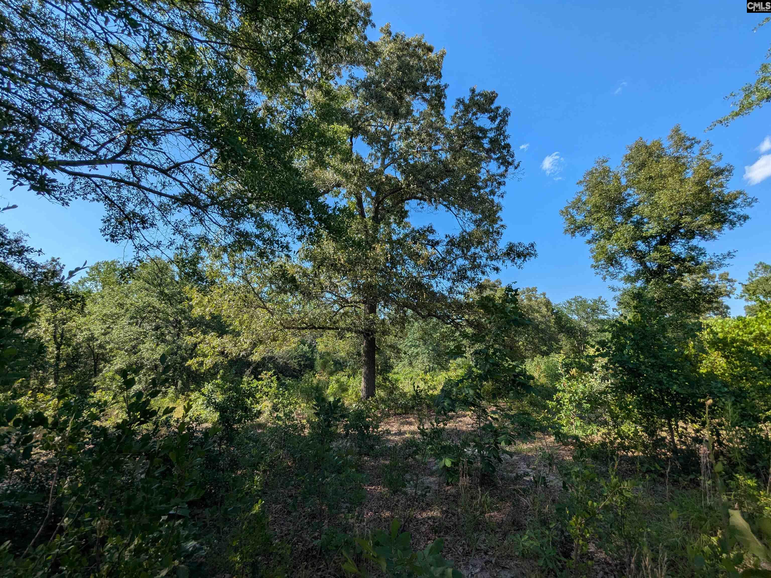 Hound Hollow Road Camden, SC 29020