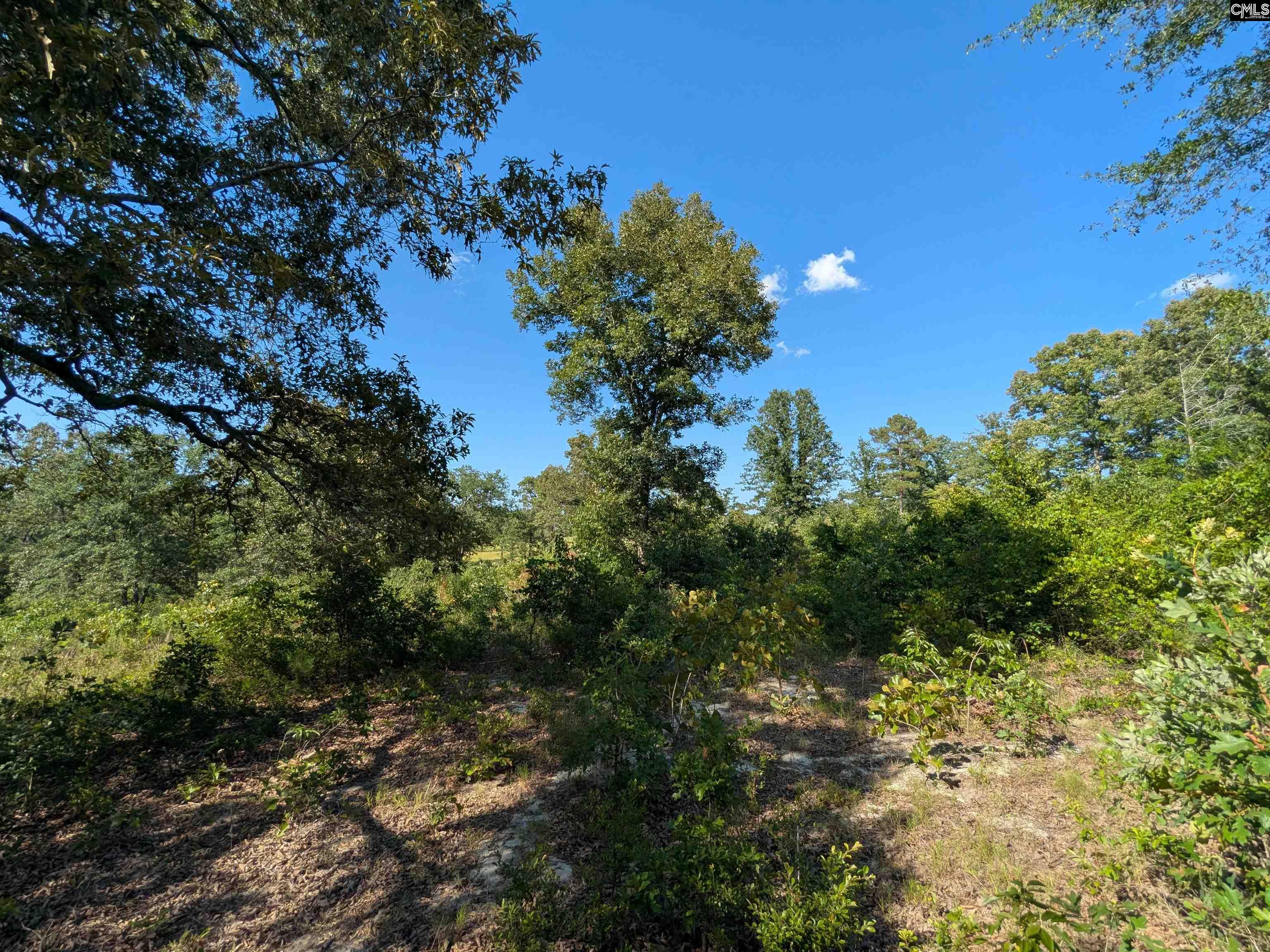 Hound Hollow Road Camden, SC 29020