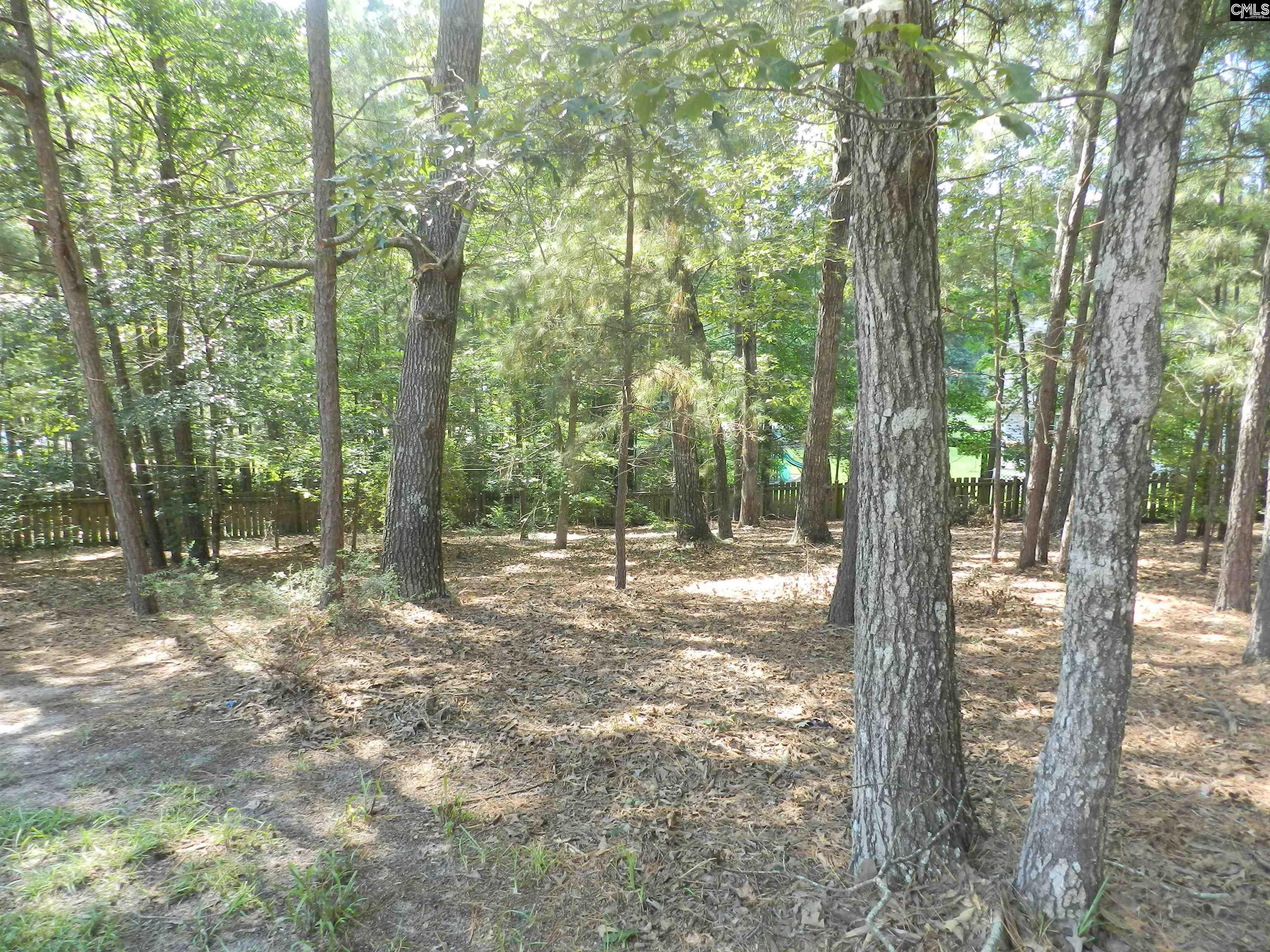 8 Manzanita Court Elgin, SC 29045