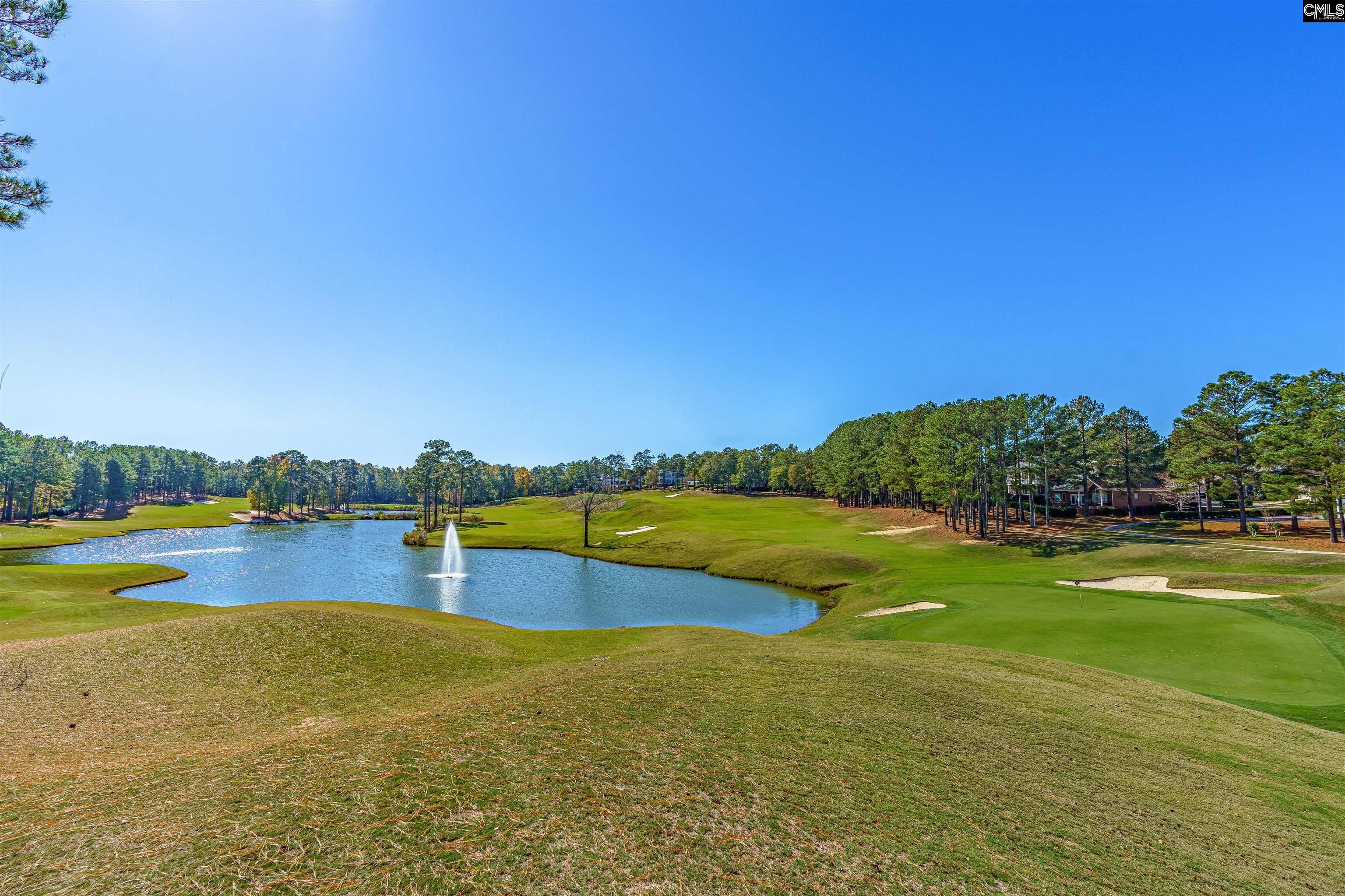 1044 Coogler Crossing Drive Blythewood, SC 29016