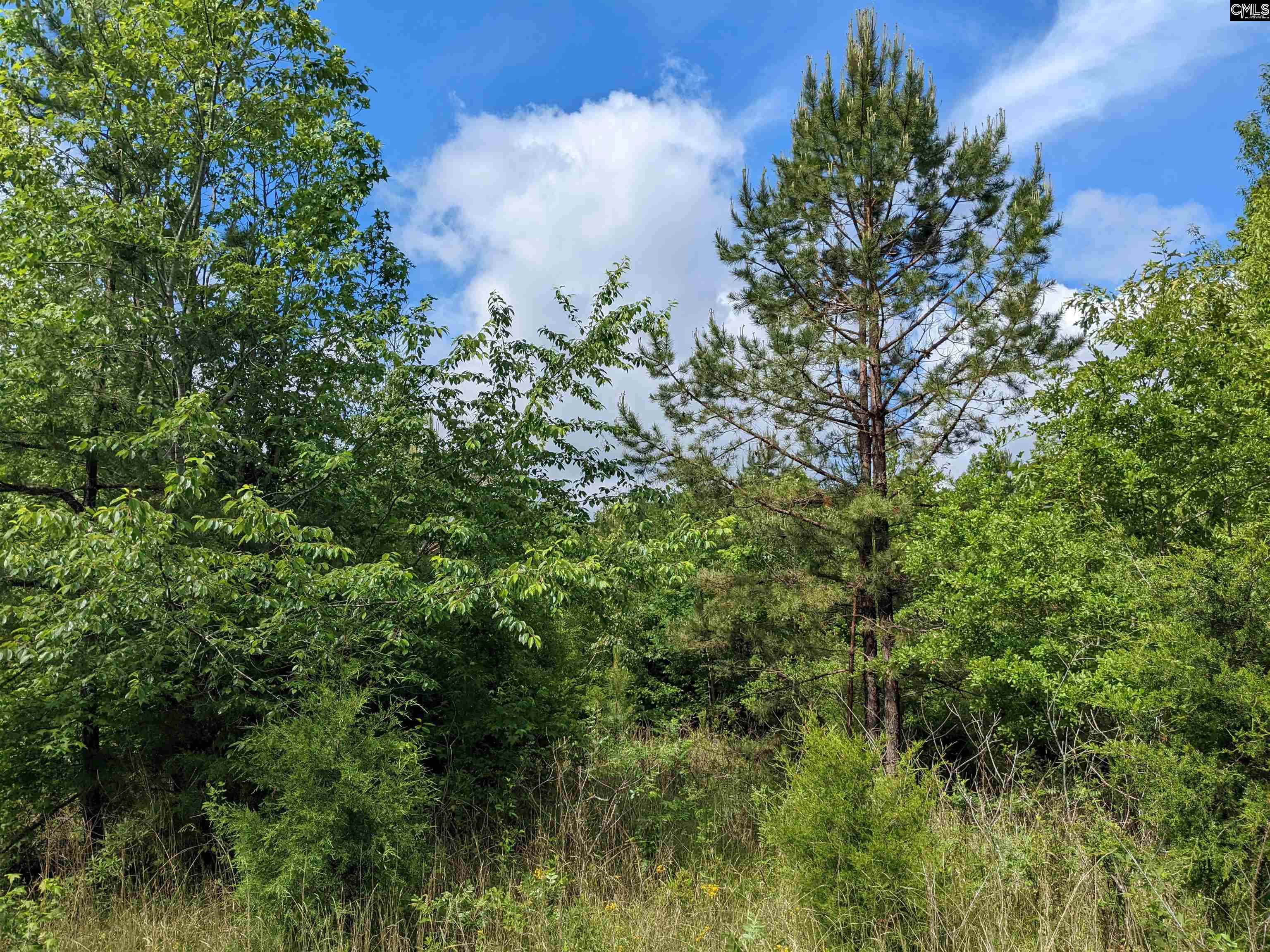 Lockhart Highway Union, SC 29379
