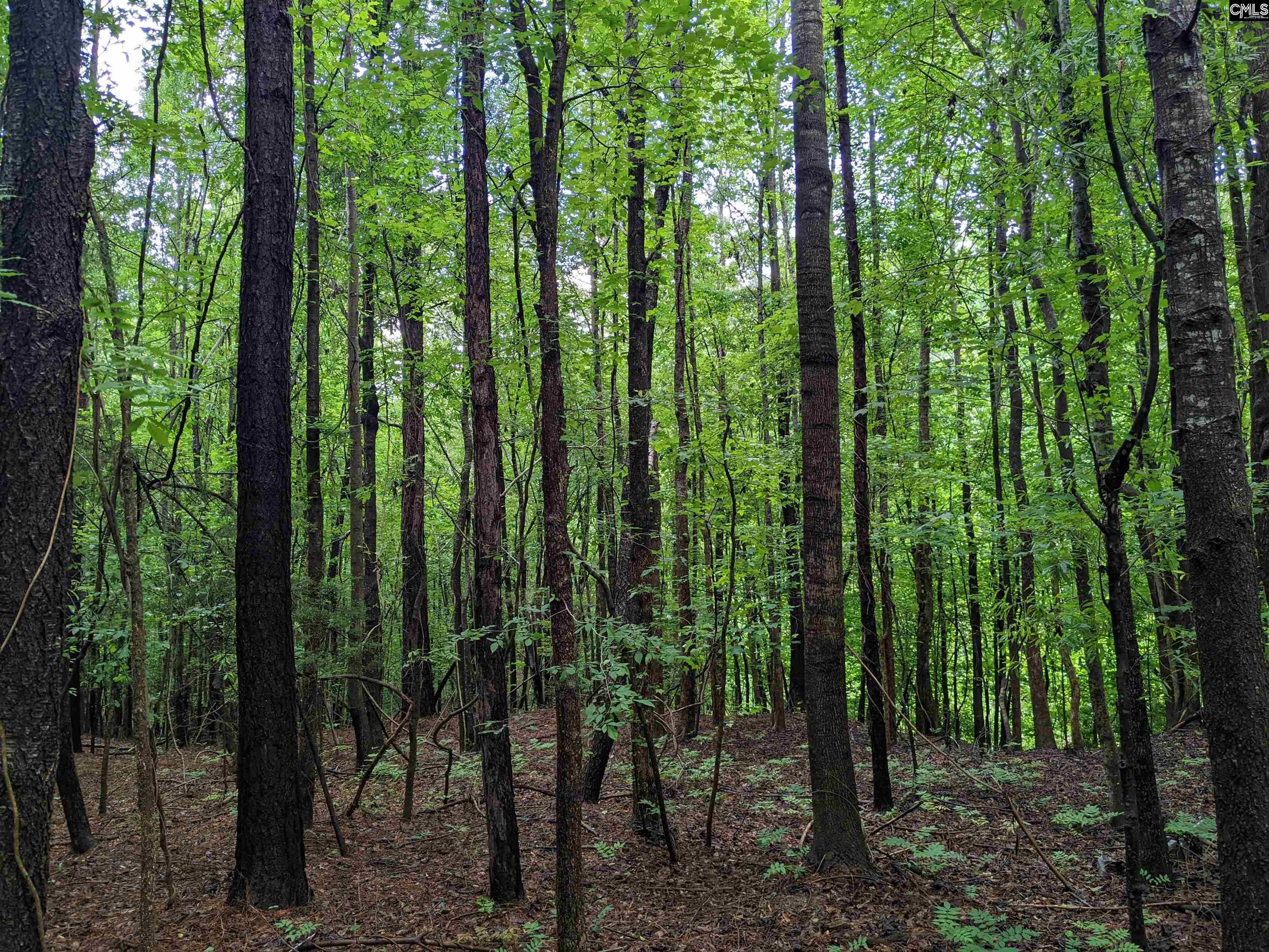 Lockhart Highway Union, SC 29379