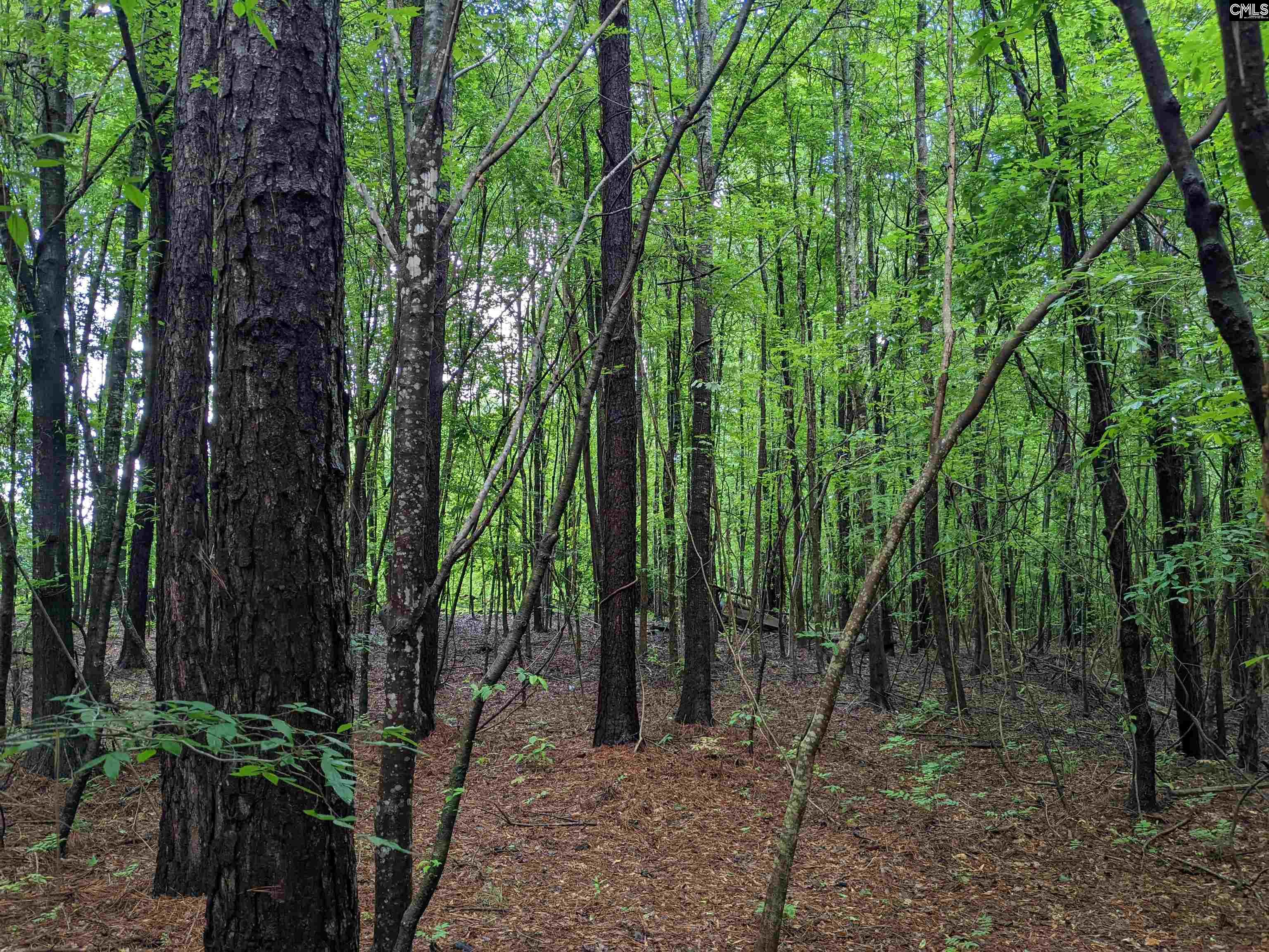 Lockhart Highway Union, SC 29379