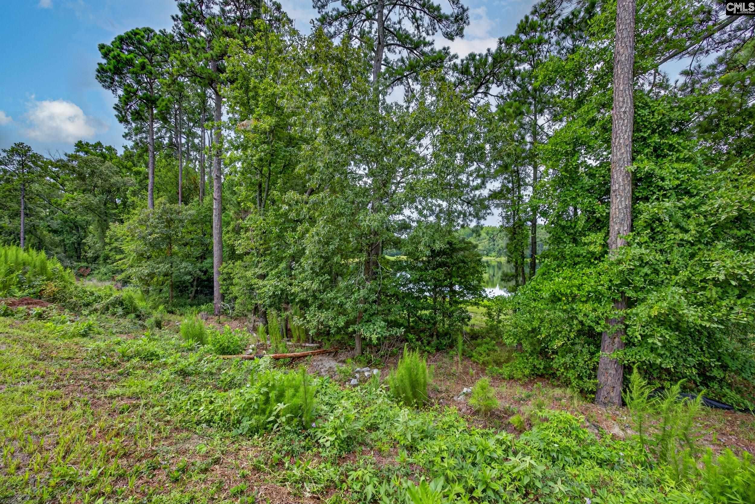 125 Calming Creek Way Elgin, SC 29045