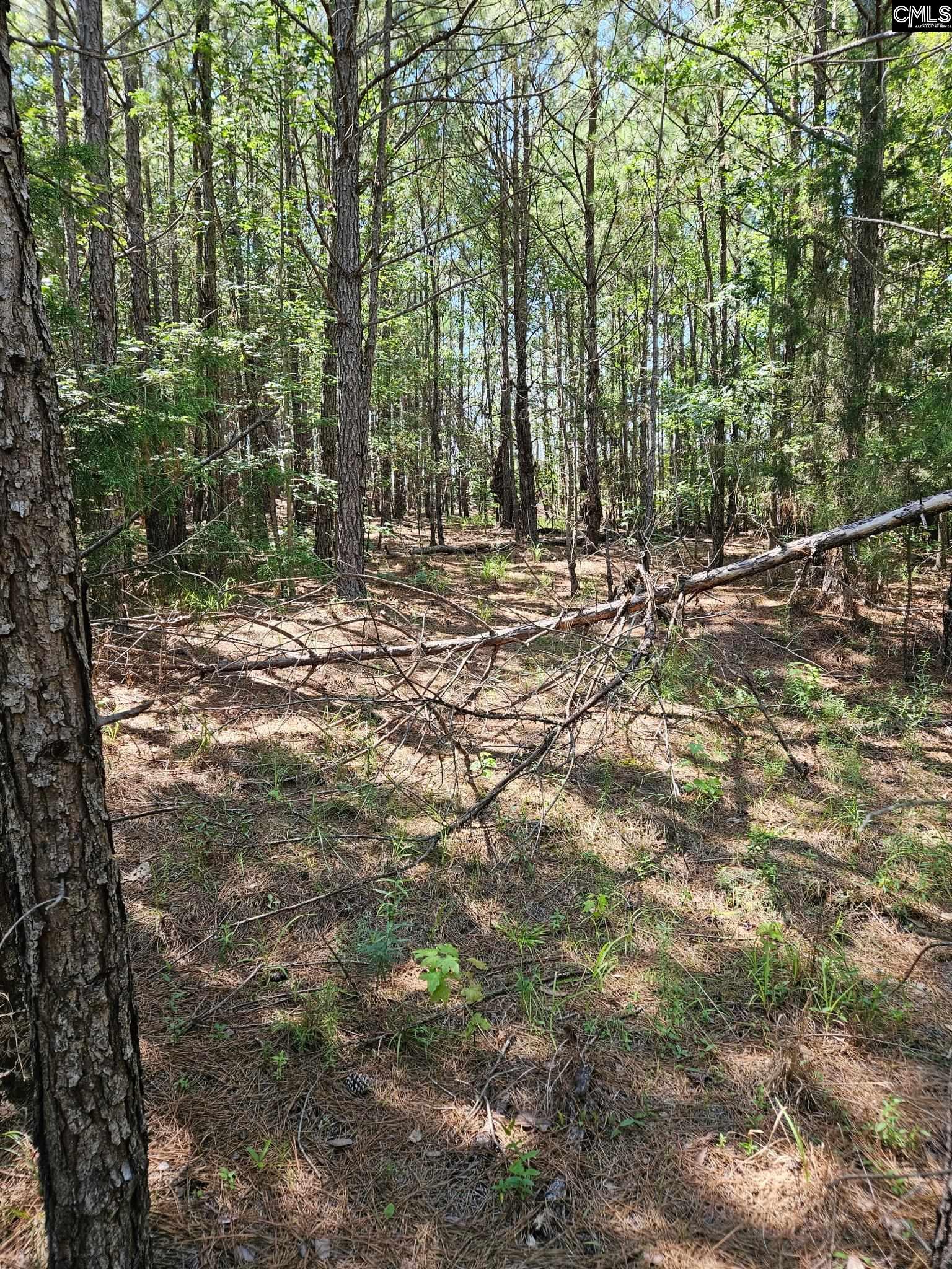 00 Cypress Drive Winnsboro, SC 29180