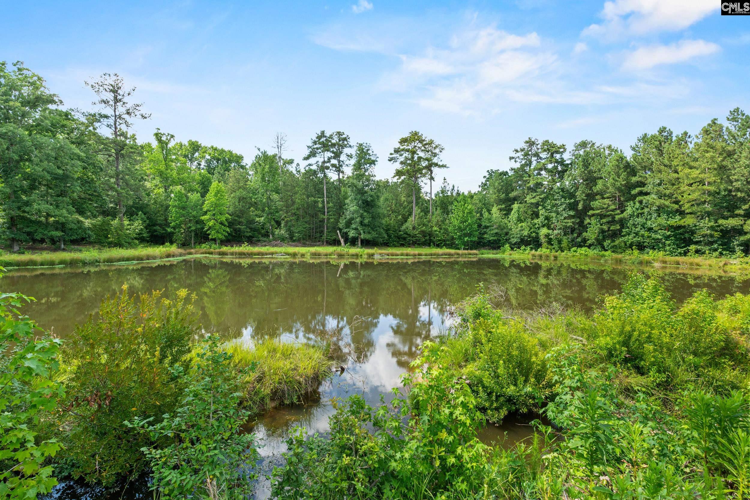 453 Bryan Street Leesville, SC 29070