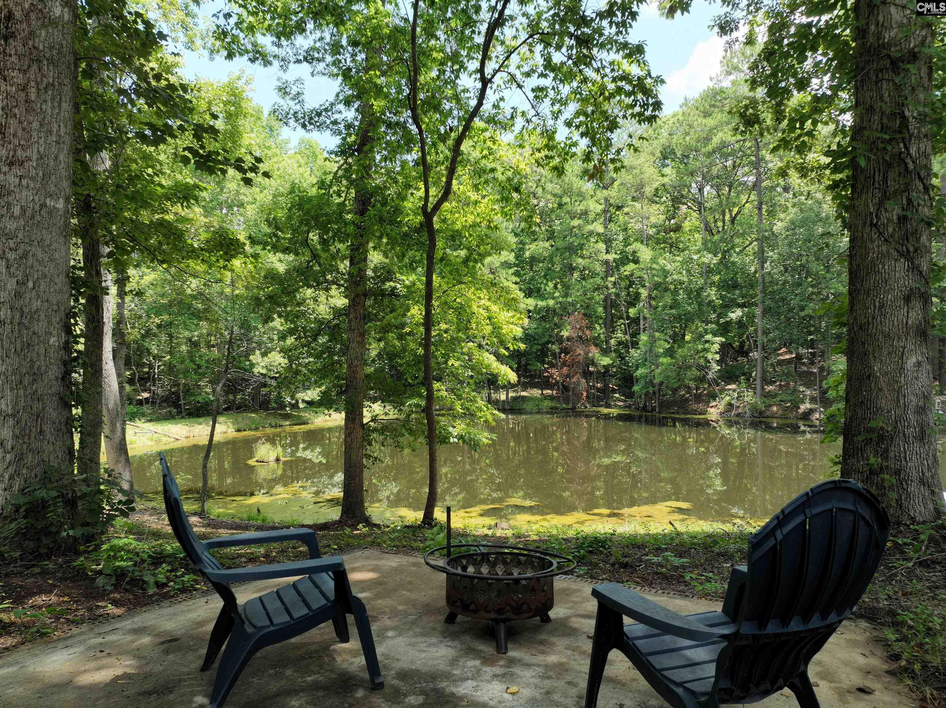 130 Pinewood Drive Chapin, SC 29036