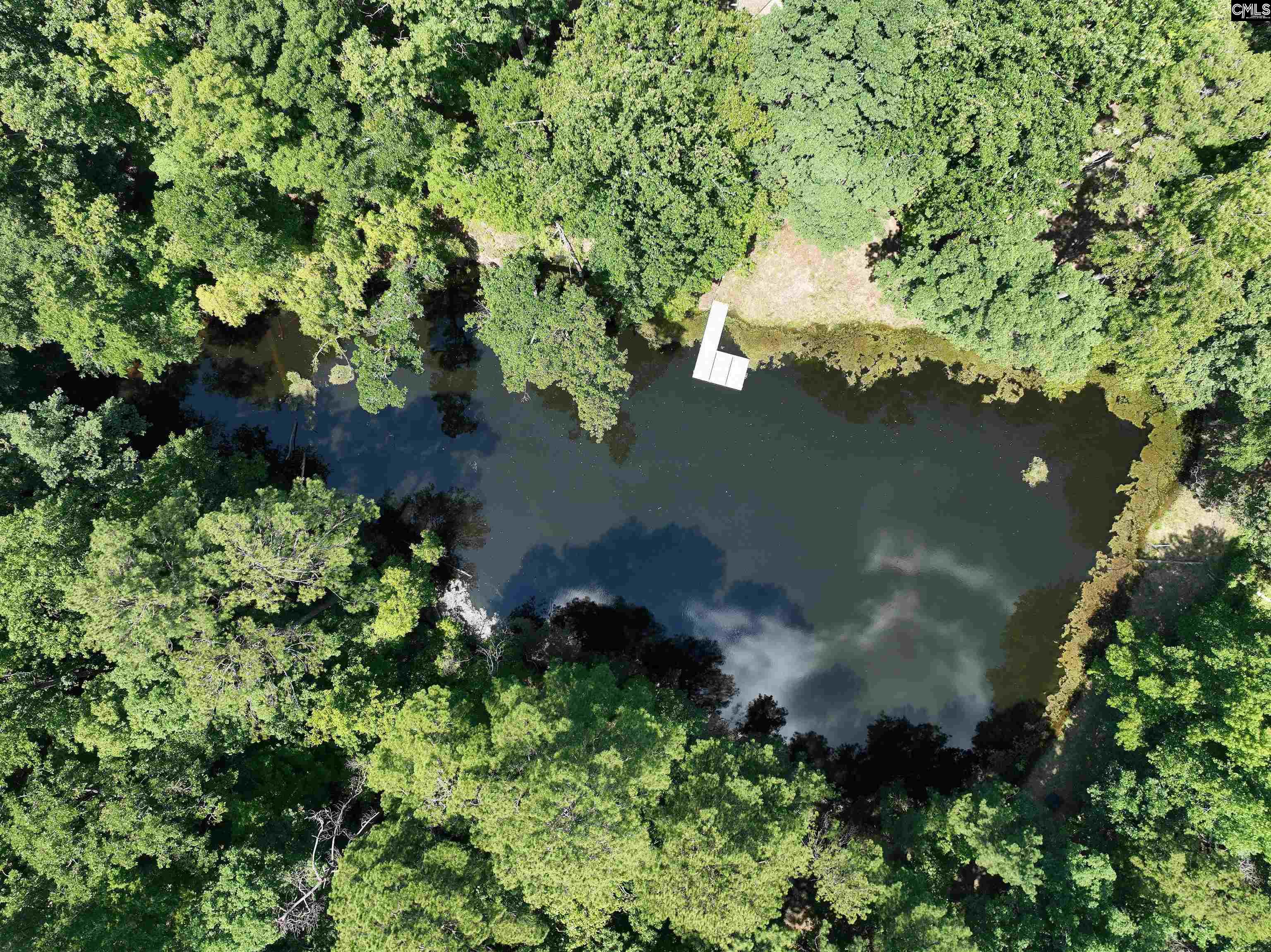 130 Pinewood Drive Chapin, SC 29036
