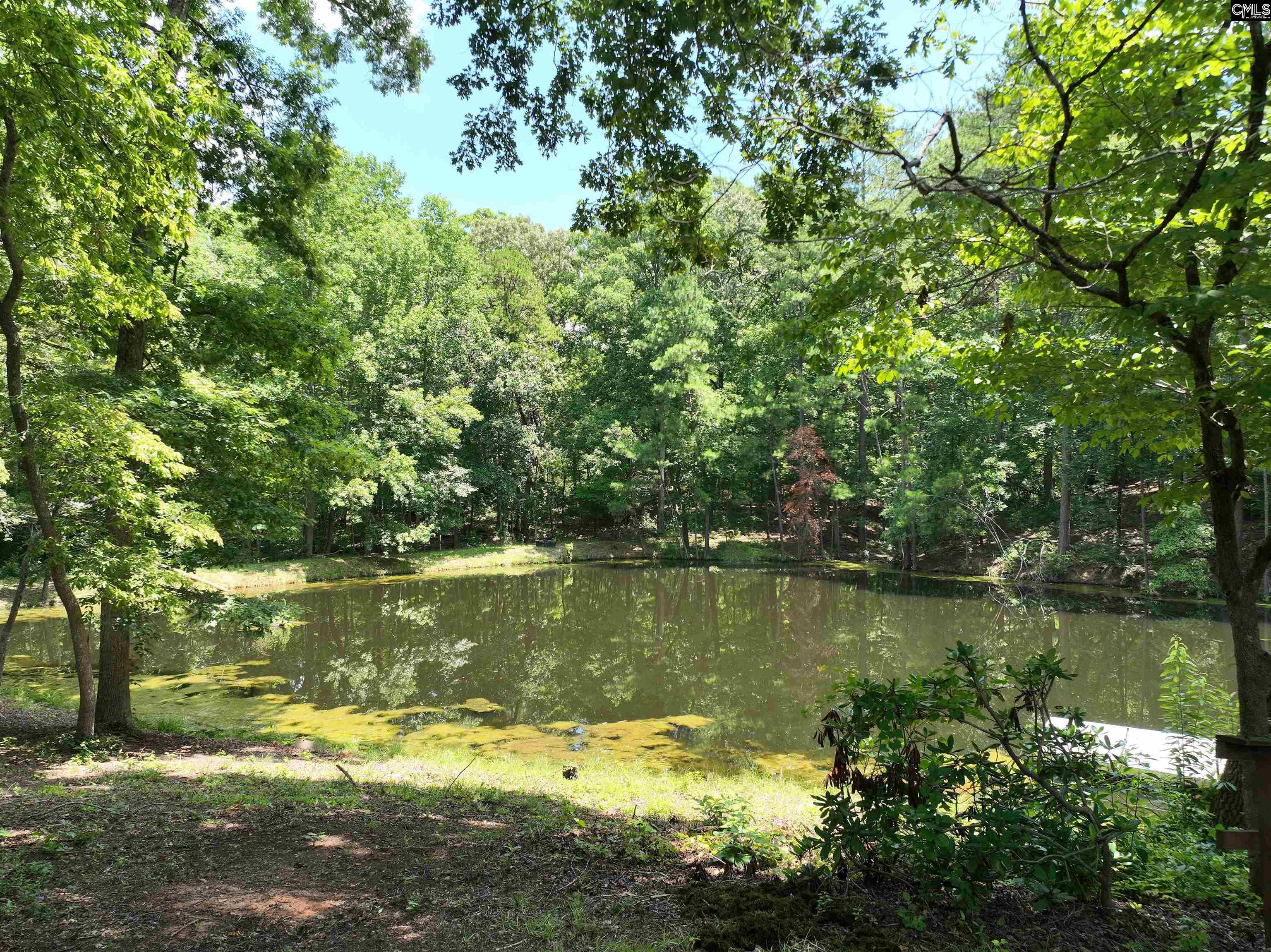 130 Pinewood Drive Chapin, SC 29036