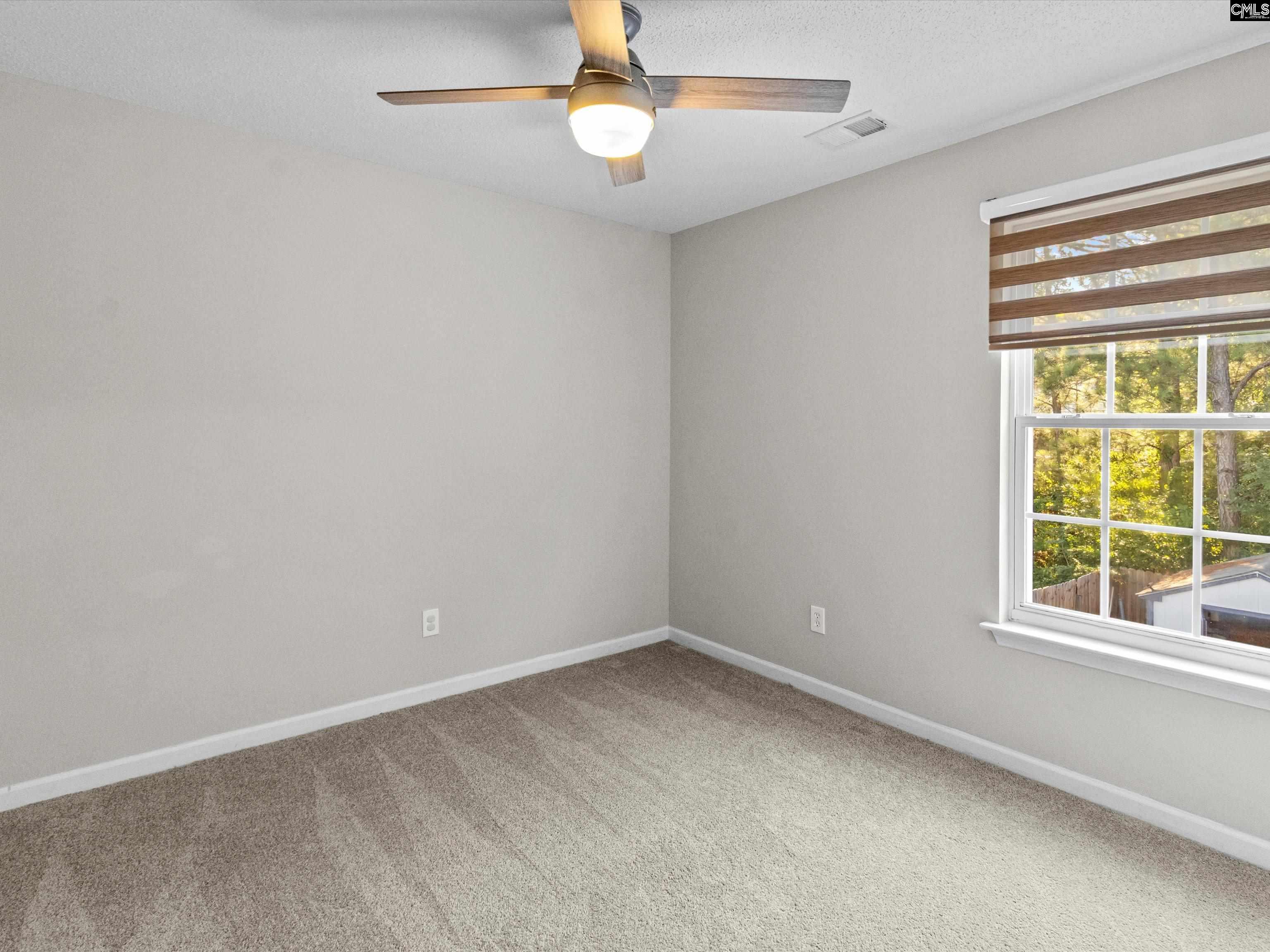 117 Peregrine Court Chapin, SC 29036-0117