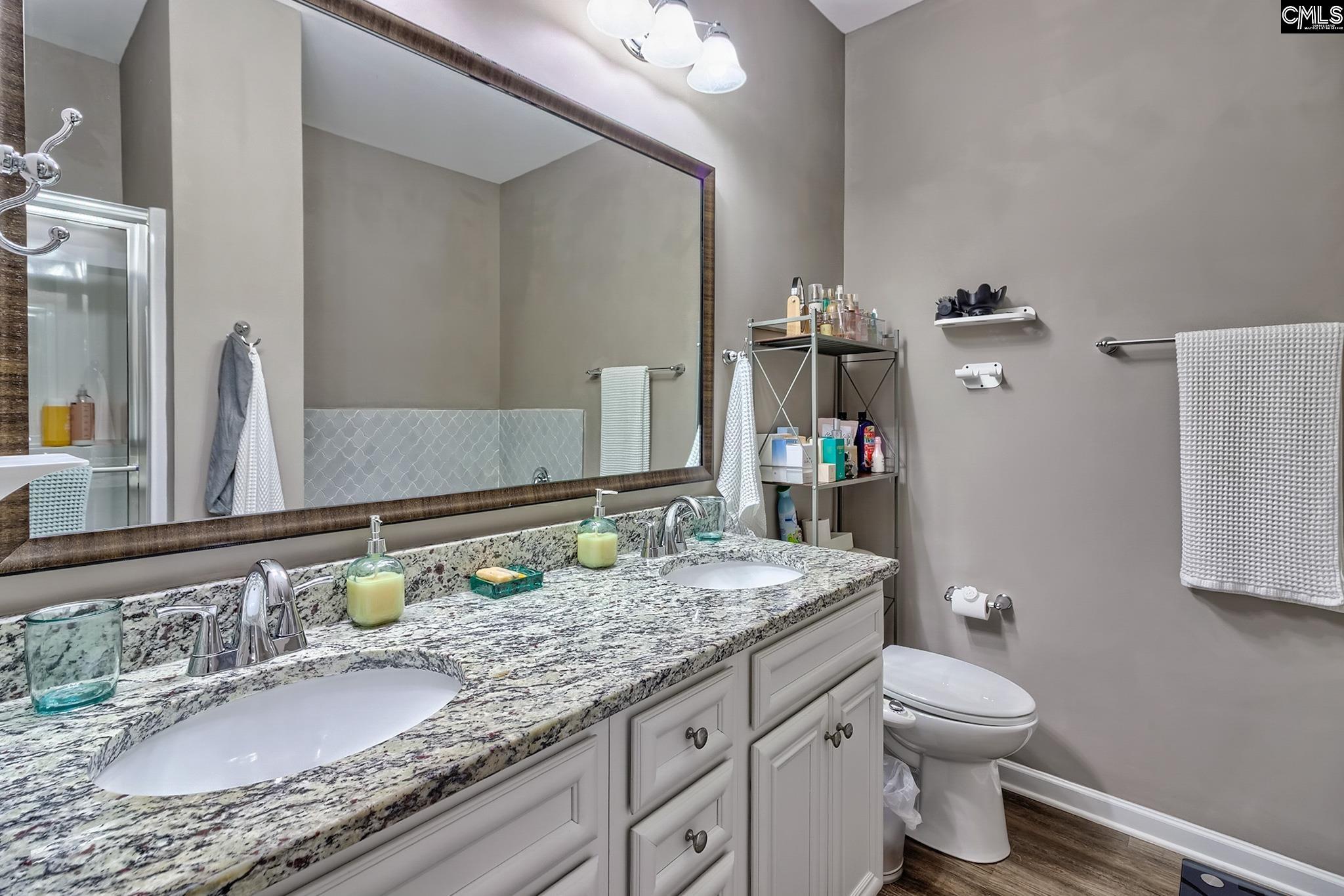 329 Dolly Horn Lane Chapin, SC 29036