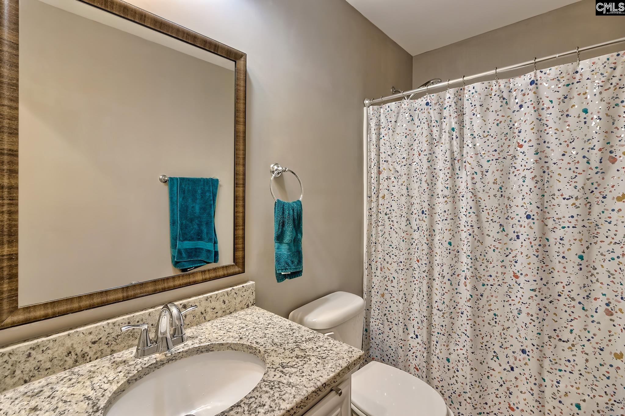 329 Dolly Horn Lane Chapin, SC 29036