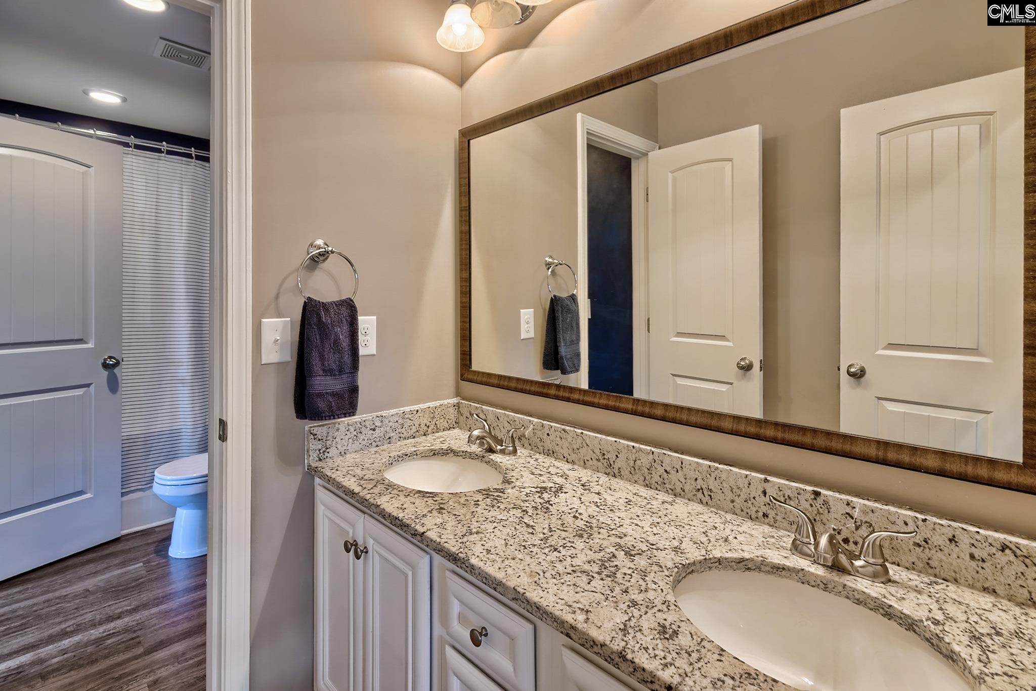 329 Dolly Horn Lane Chapin, SC 29036