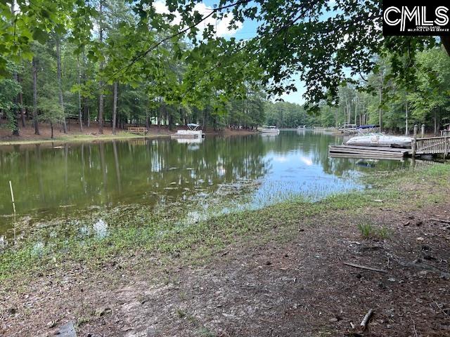 110 John Long Road Gilbert, SC 29054