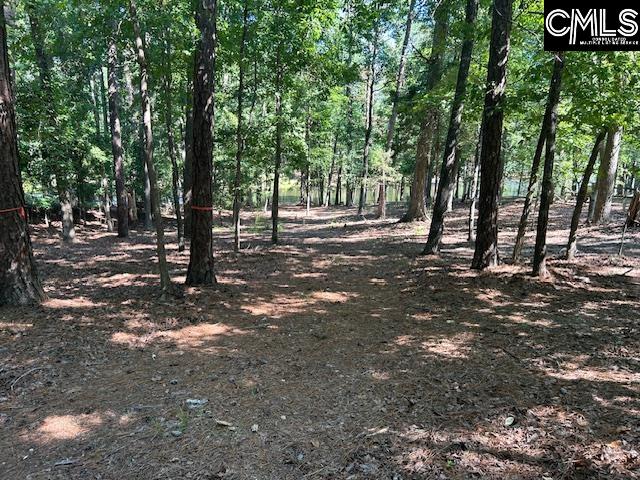 110 John Long Road Gilbert, SC 29054
