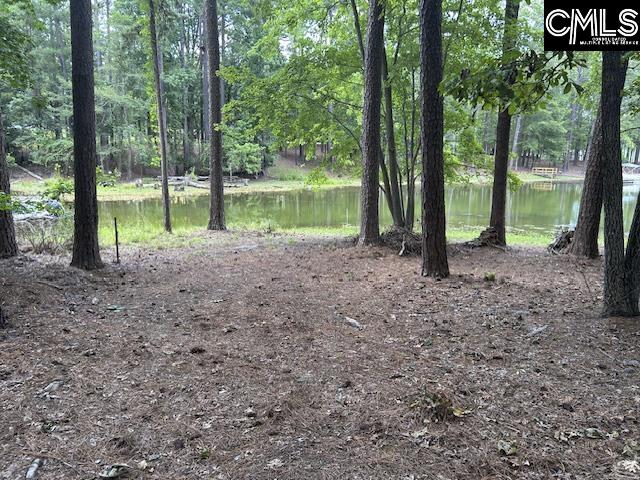 110 John Long Road Gilbert, SC 29054