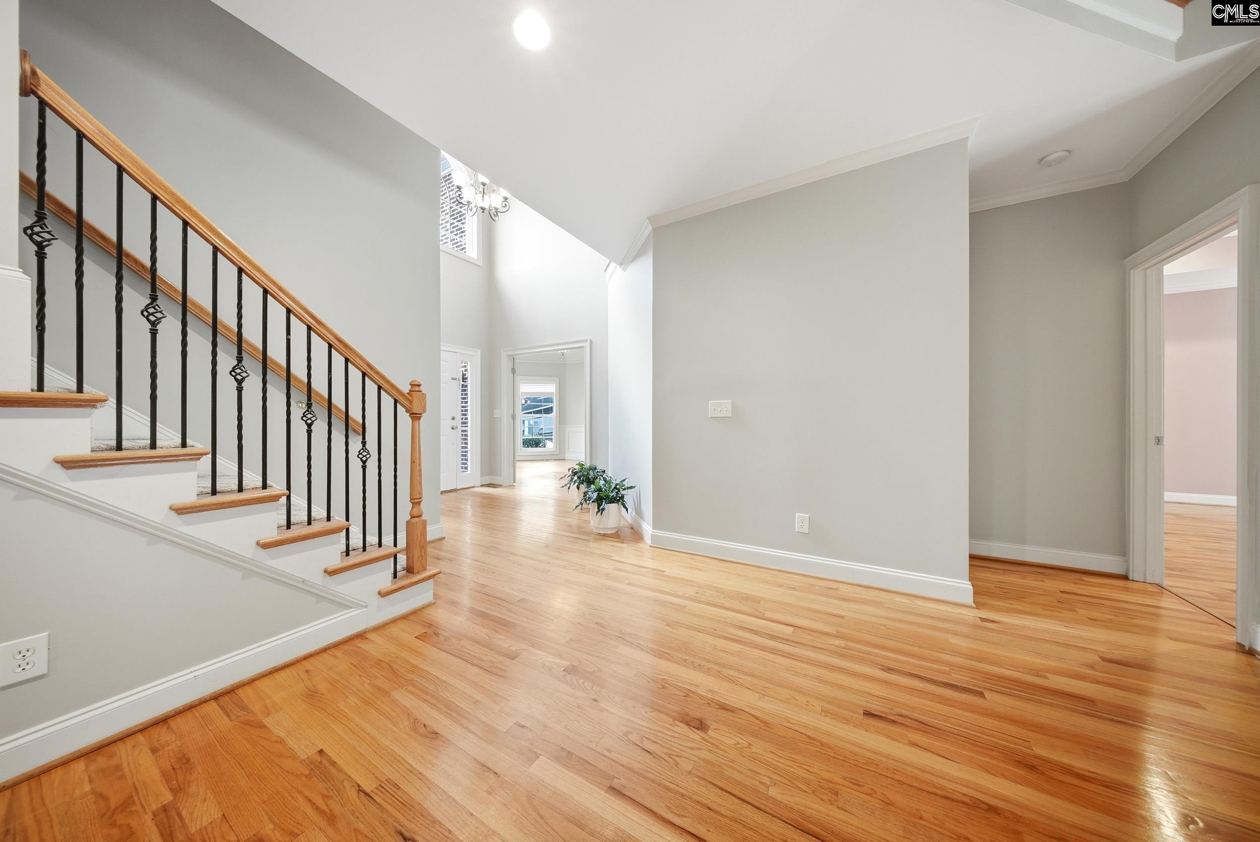 31 Clay Court Chapin, SC 29036