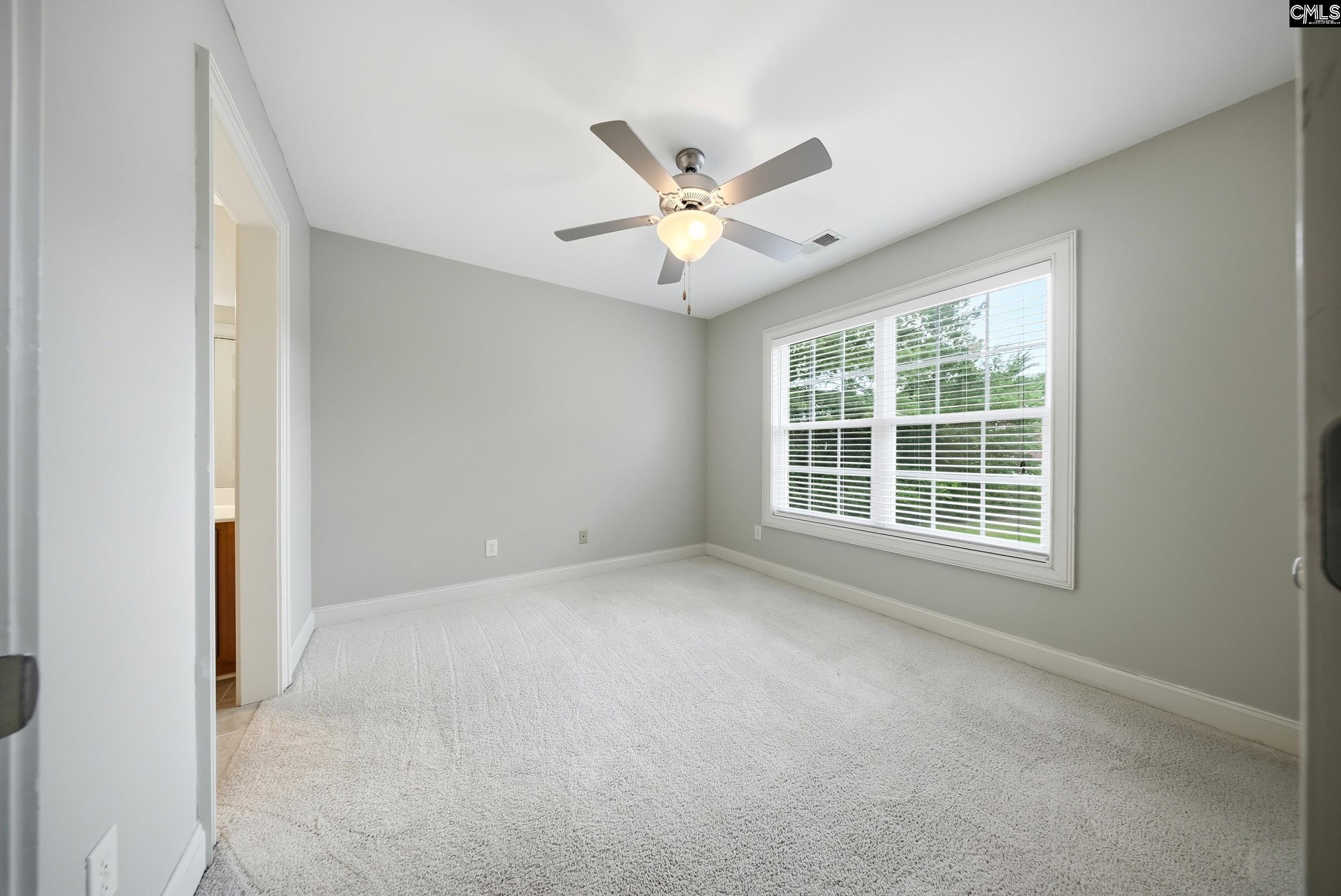 31 Clay Court Chapin, SC 29036