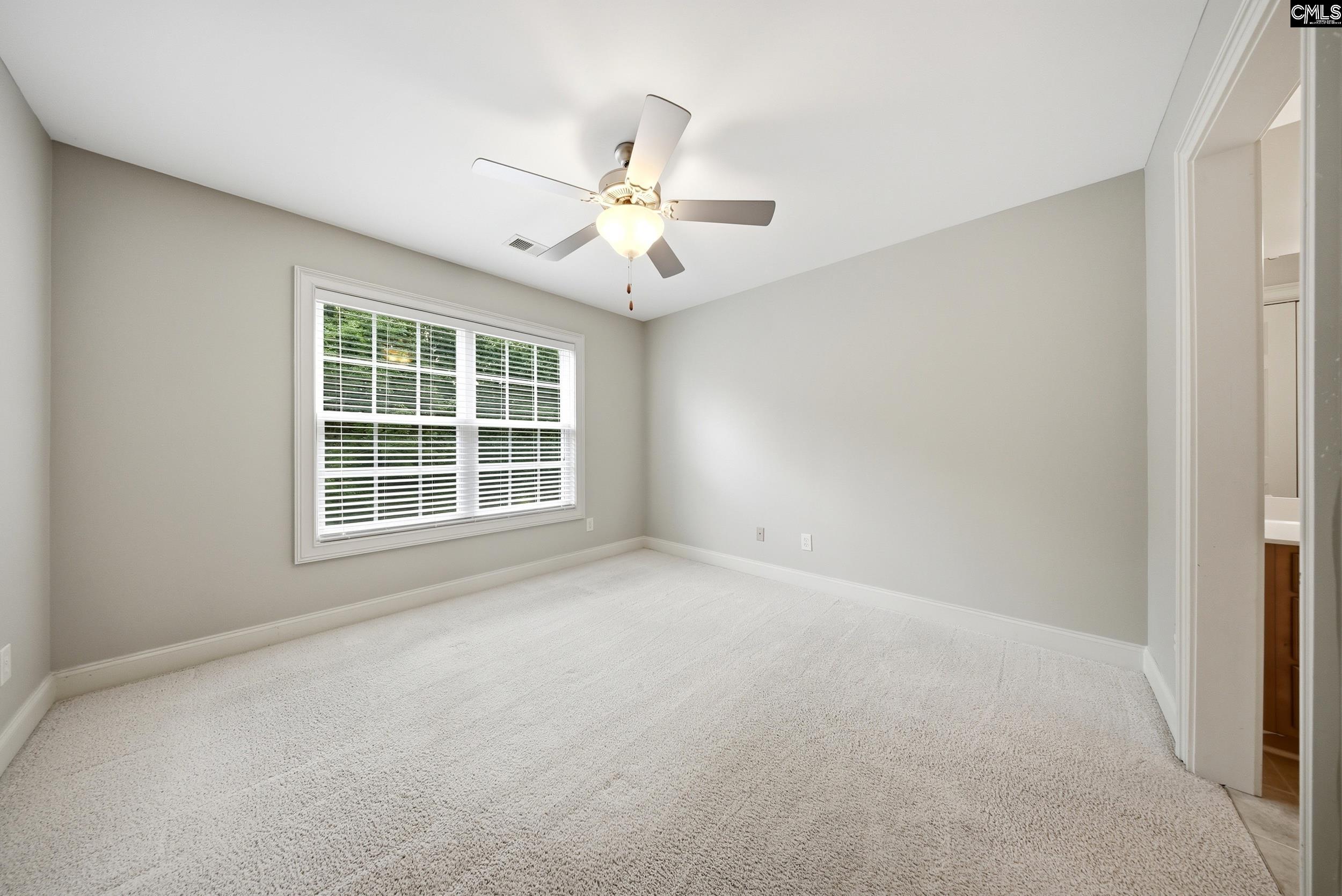 31 Clay Court Chapin, SC 29036
