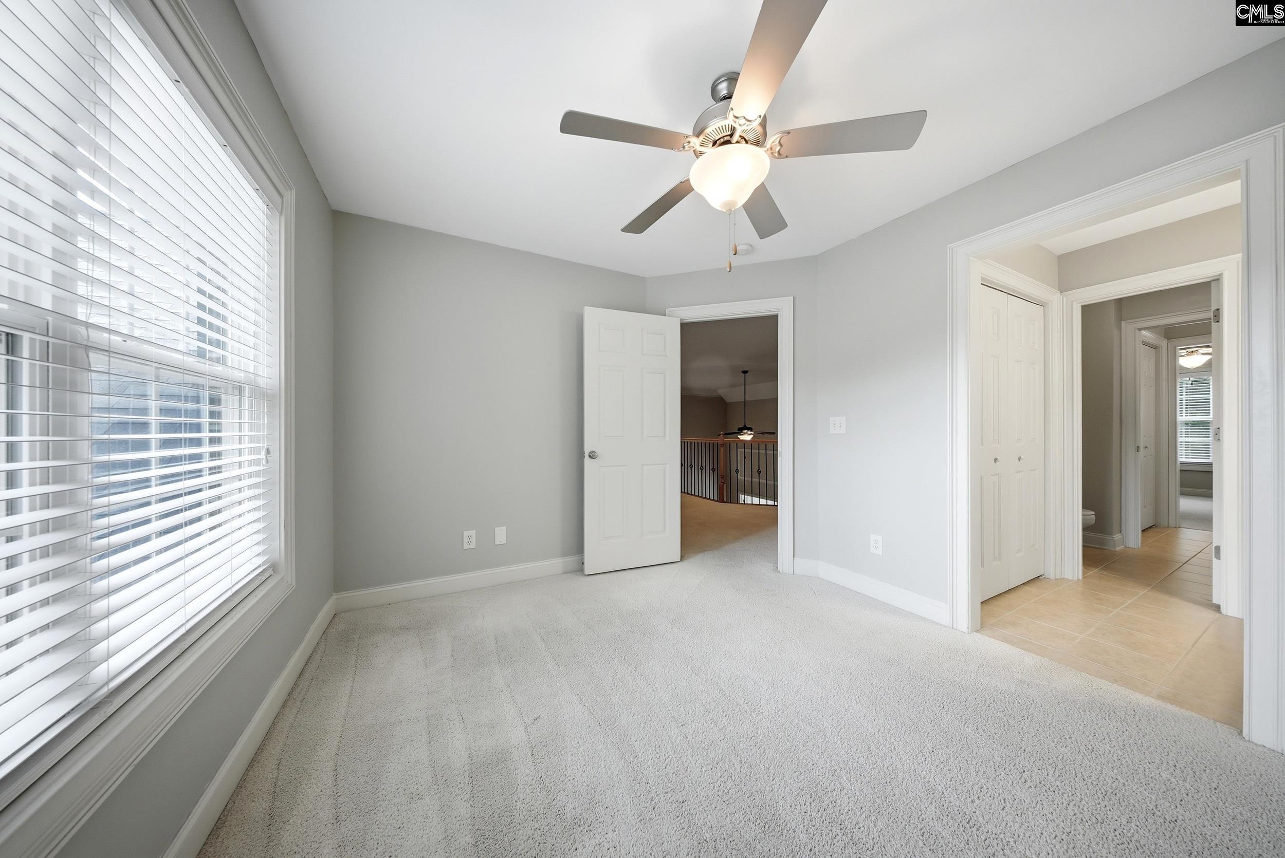 31 Clay Court Chapin, SC 29036