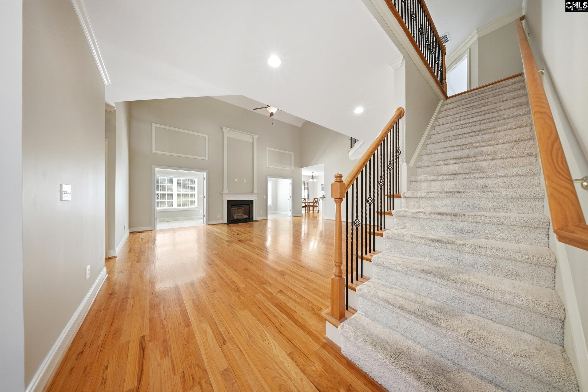 31 Clay Court Chapin, SC 29036