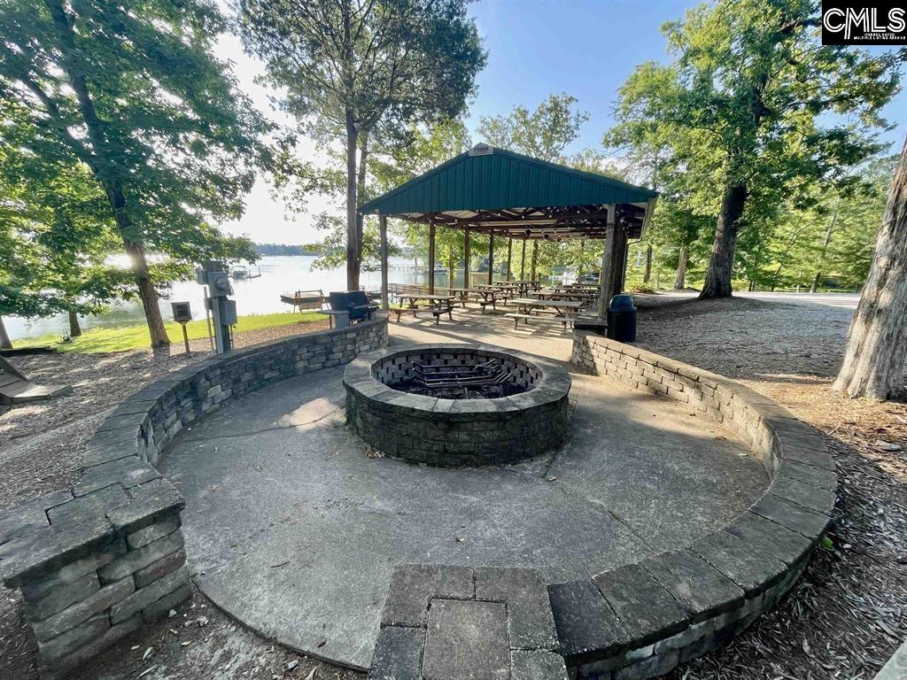 31 Clay Court Chapin, SC 29036