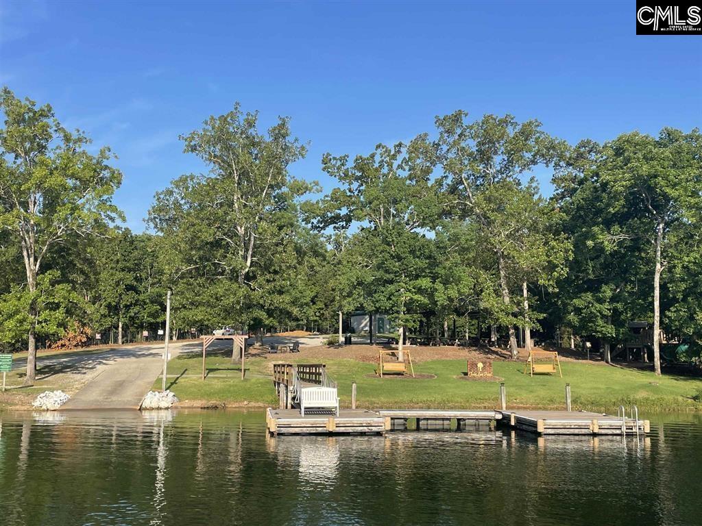31 Clay Court Chapin, SC 29036
