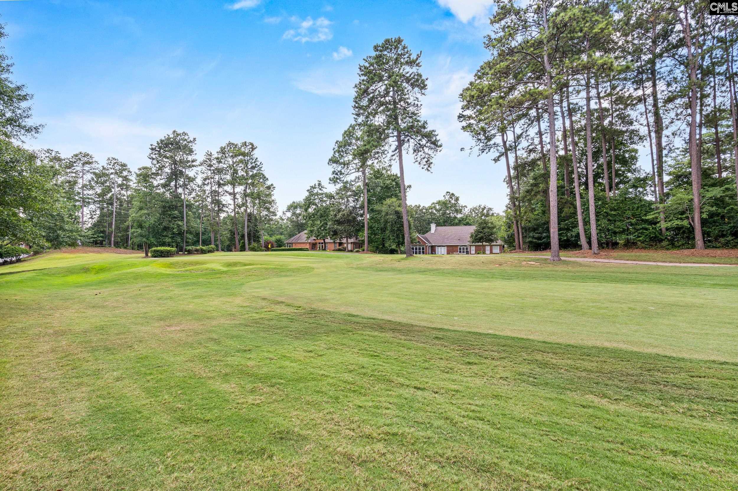 104 Birkdale Court Lexington, SC 29072
