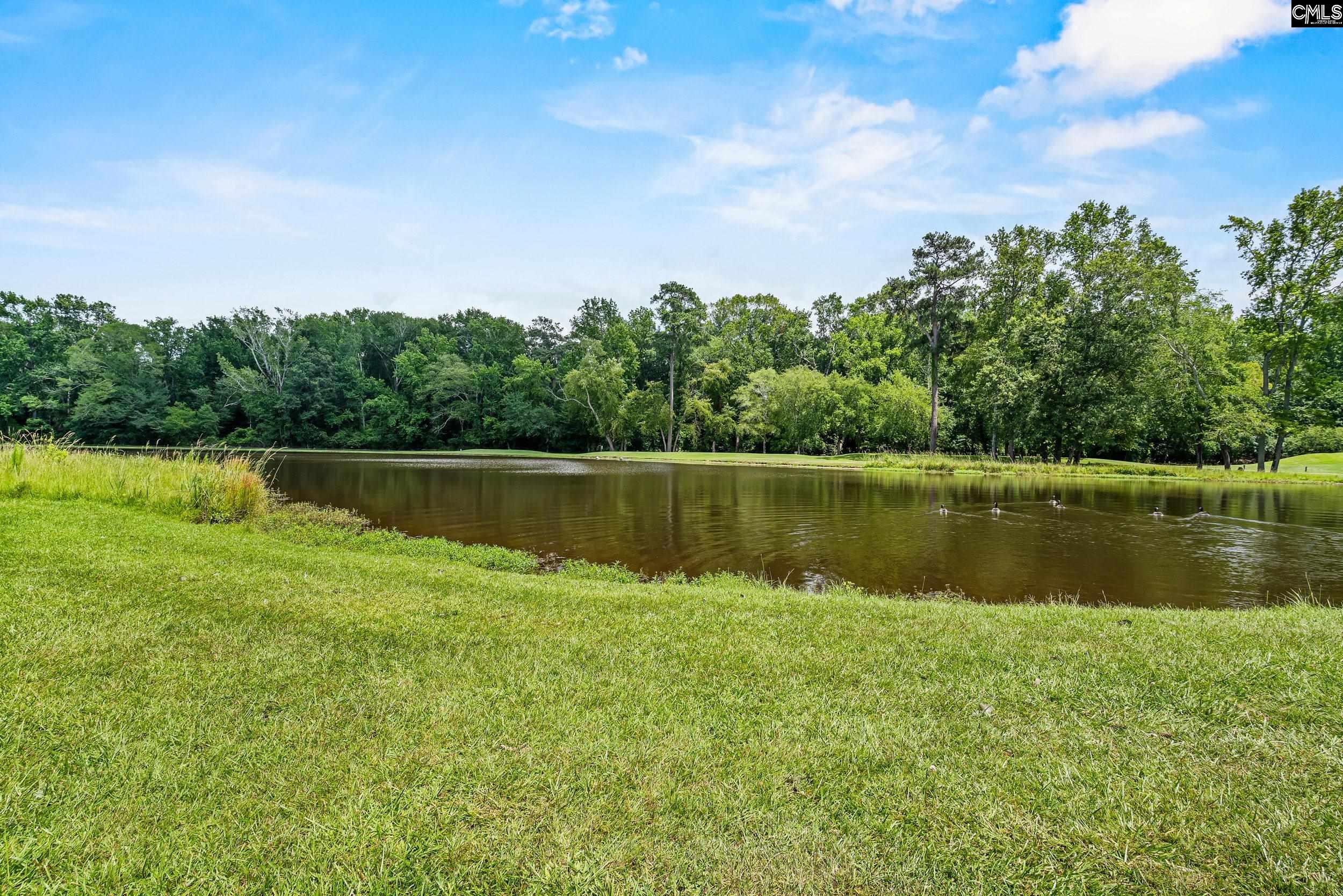 104 Birkdale Court Lexington, SC 29072